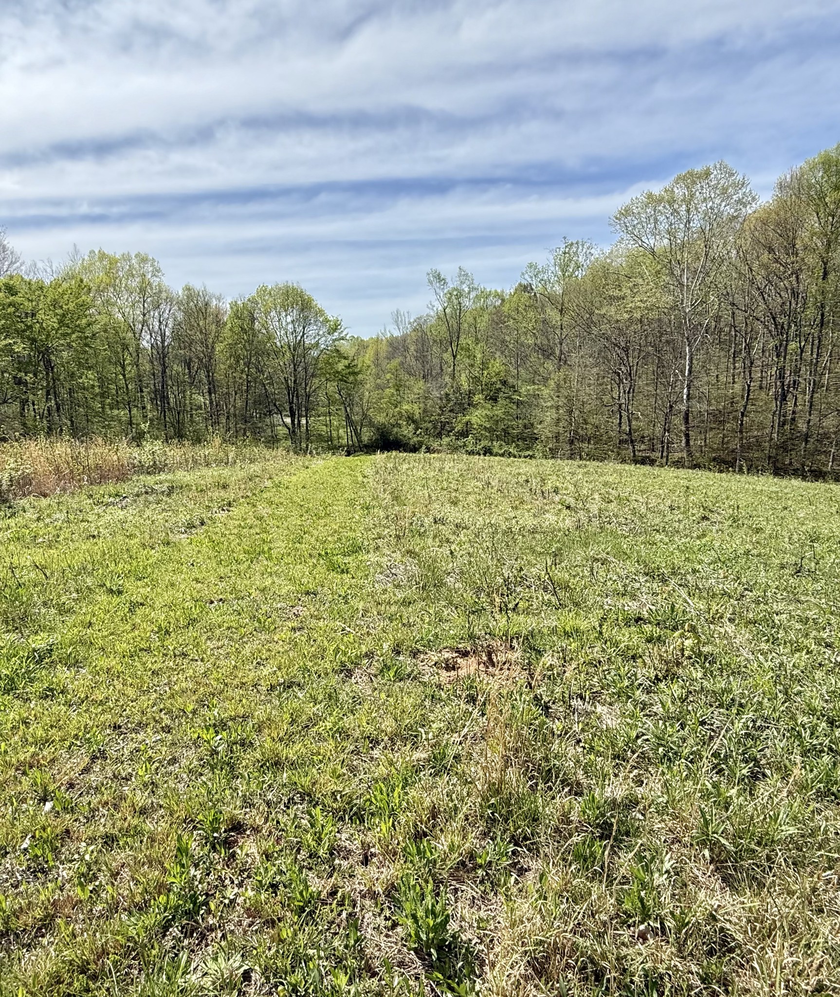 562 Junus Jackson Hollow Rd Property Photo 34