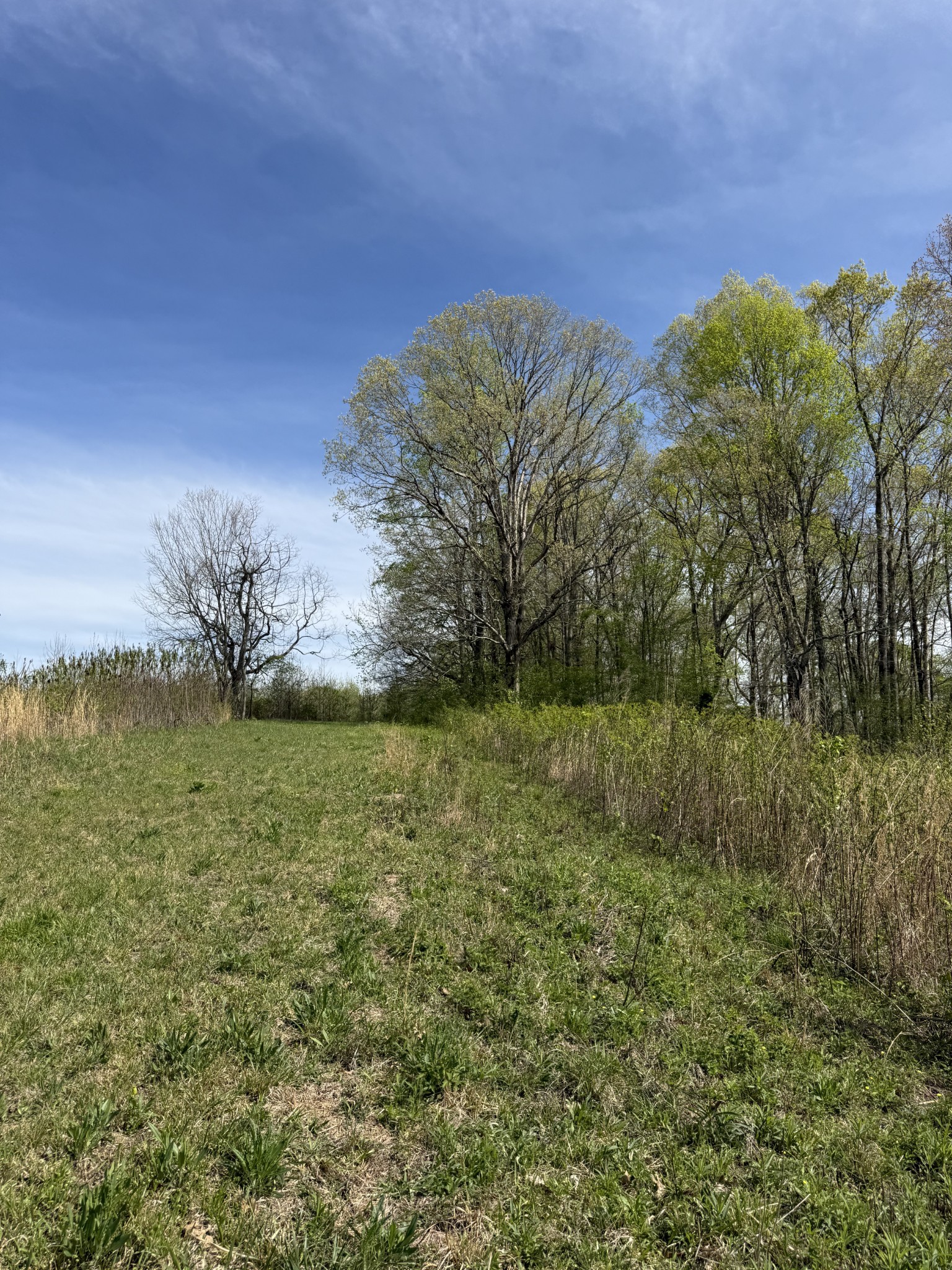 562 Junus Jackson Hollow Rd Property Photo 35