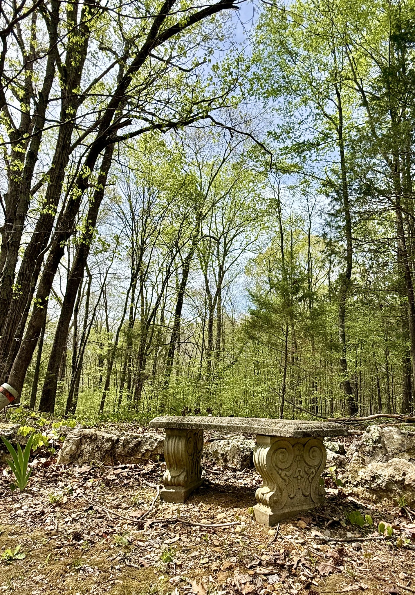 562 Junus Jackson Hollow Rd Property Photo 36