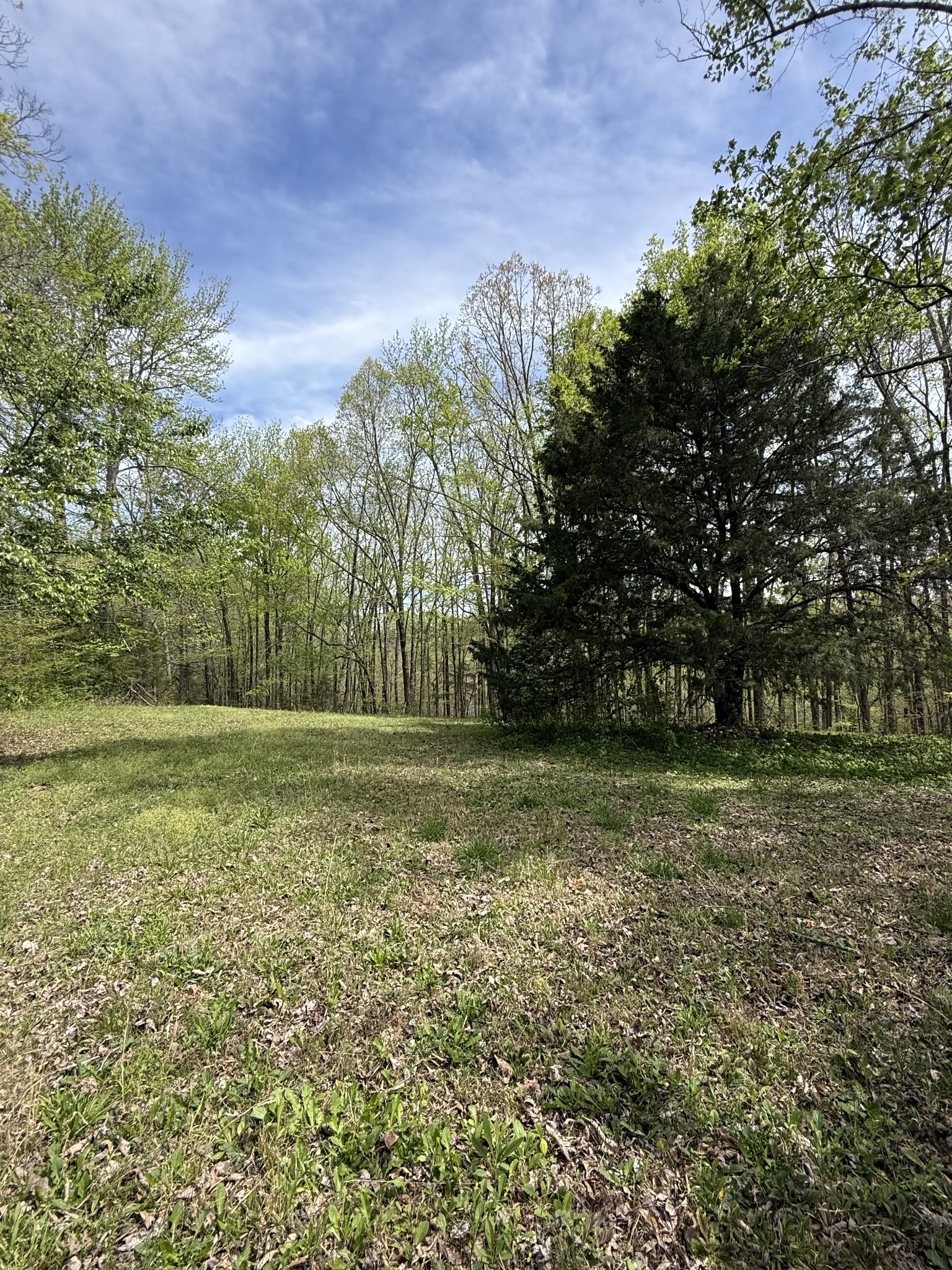 562 Junus Jackson Hollow Rd Property Photo 40