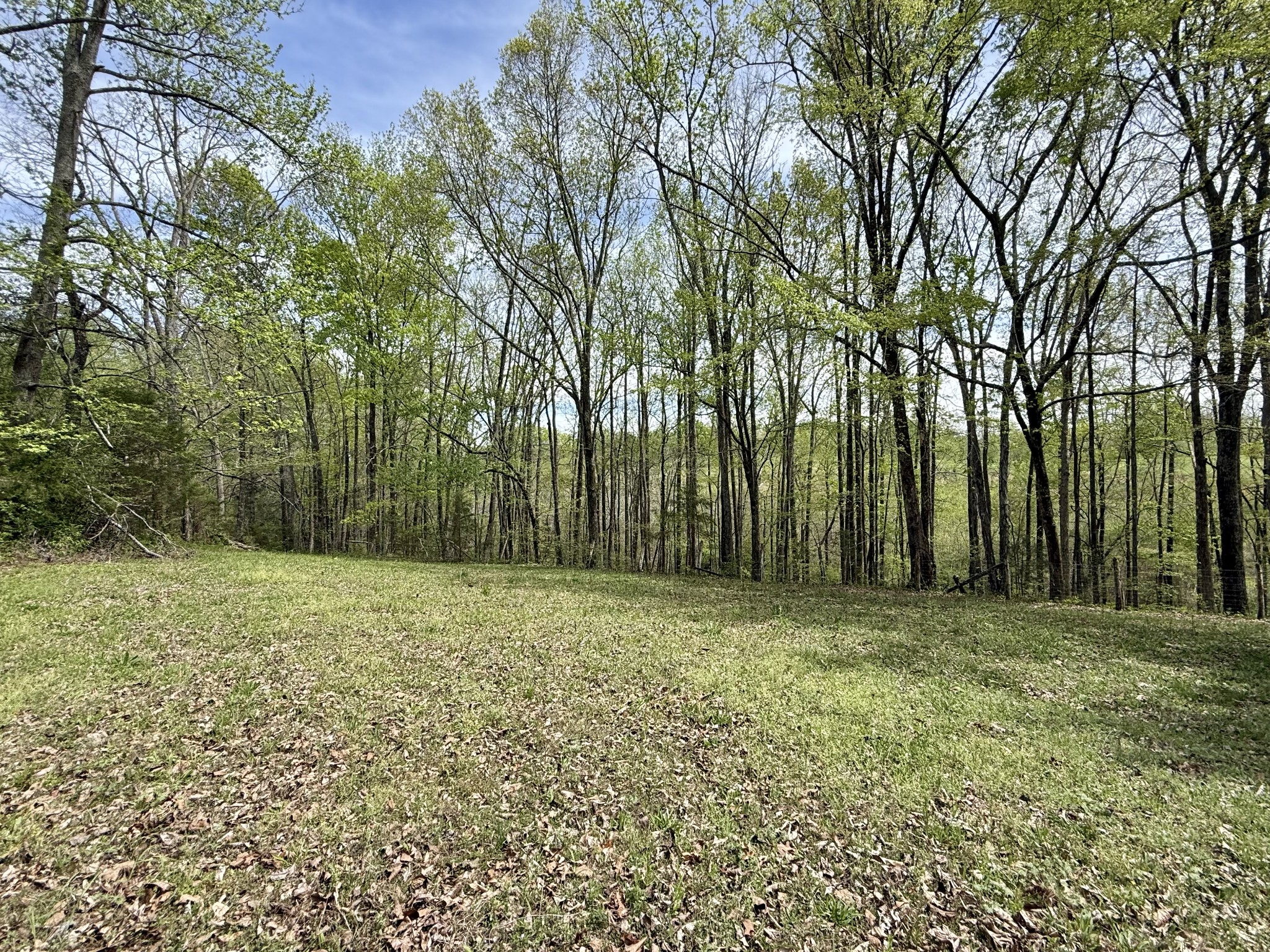 562 Junus Jackson Hollow Rd Property Photo 41