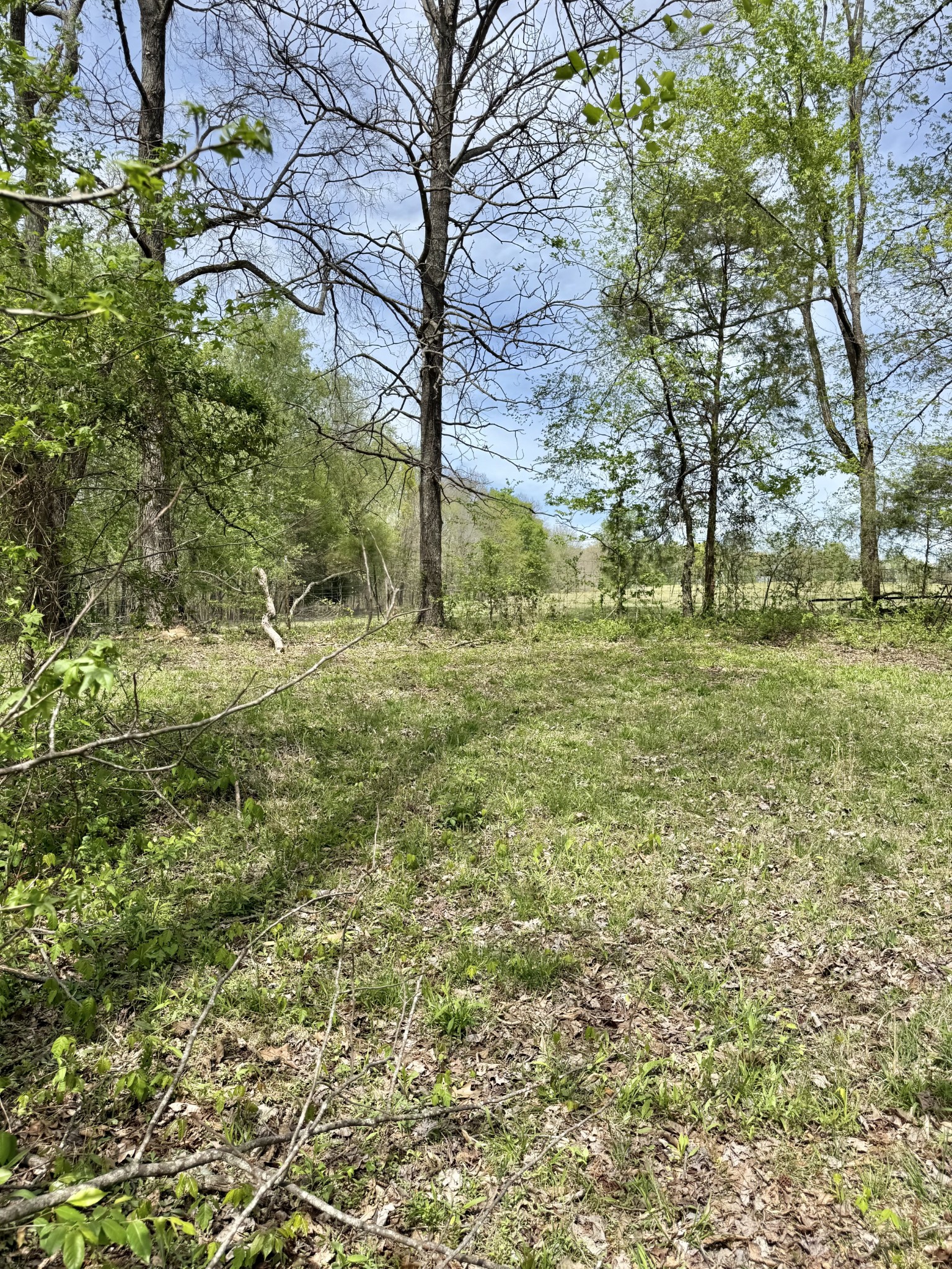 562 Junus Jackson Hollow Rd Property Photo 42