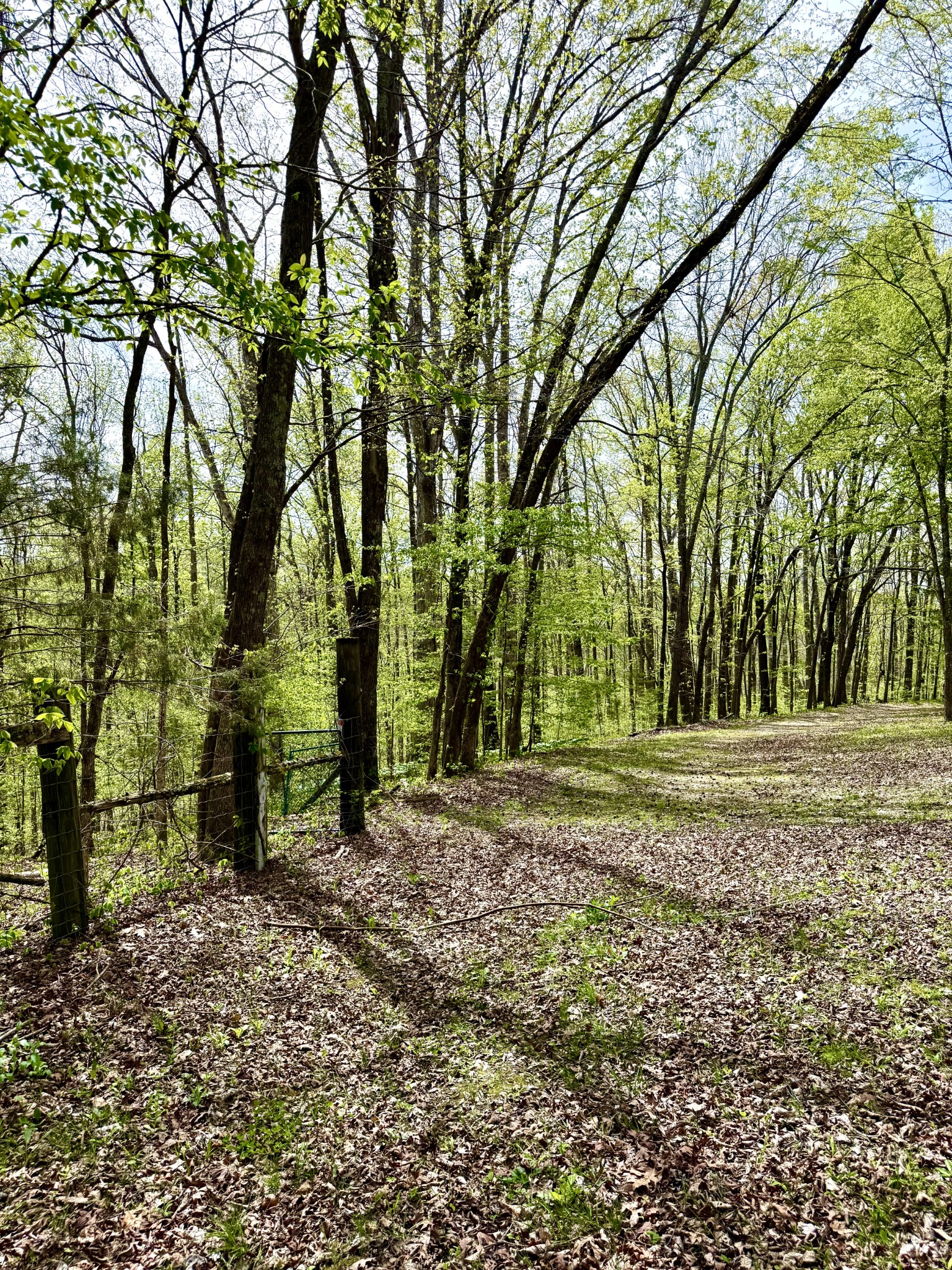 562 Junus Jackson Hollow Rd Property Photo 43