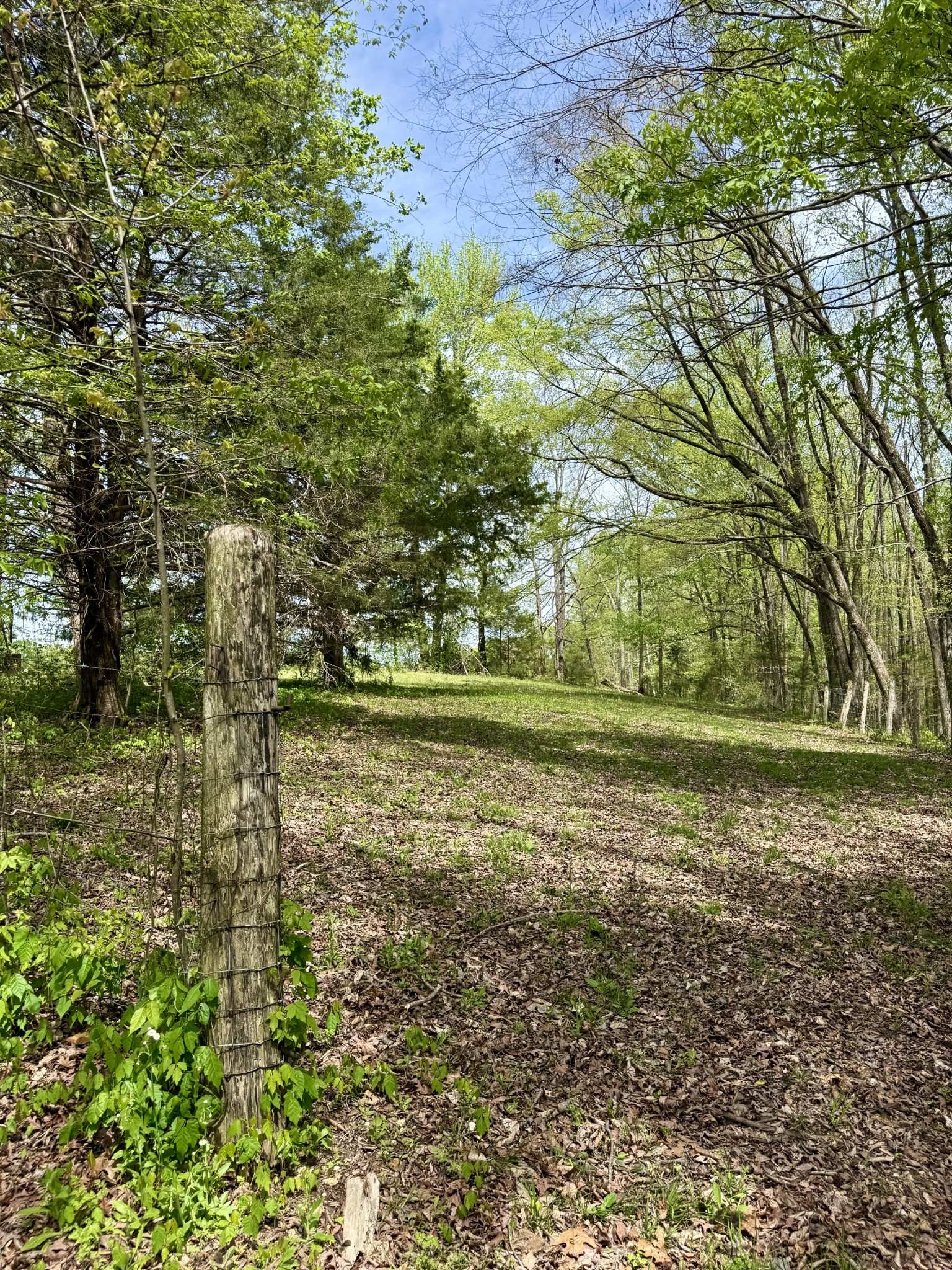 562 Junus Jackson Hollow Rd Property Photo 44