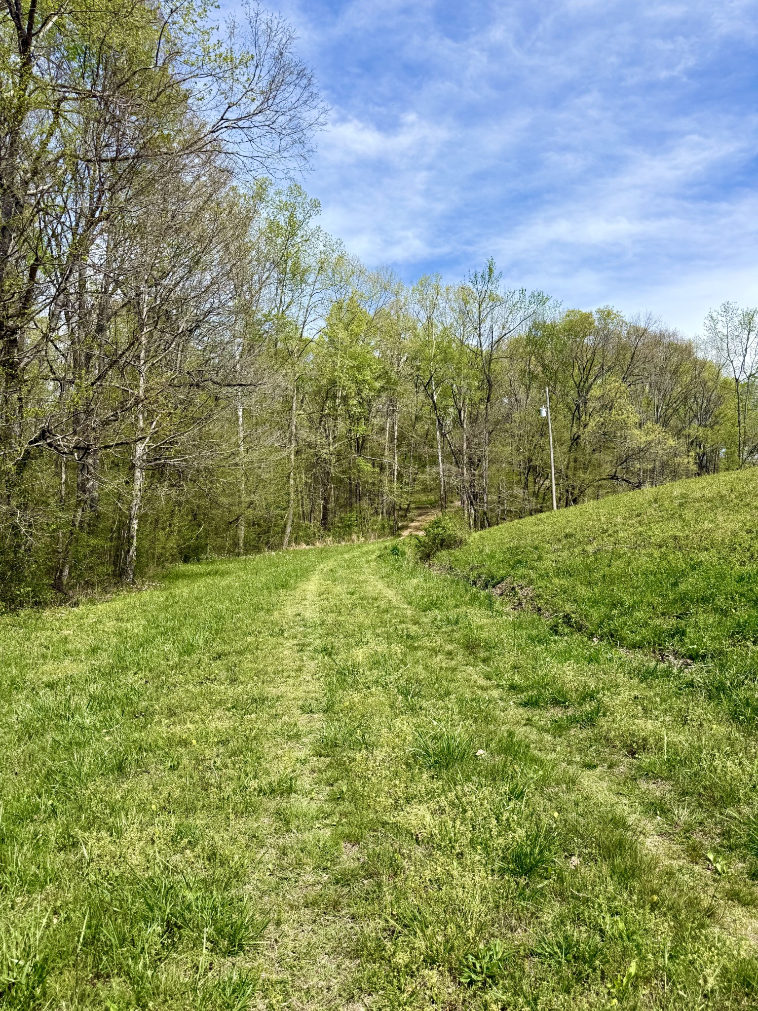 562 Junus Jackson Hollow Rd Property Photo 45