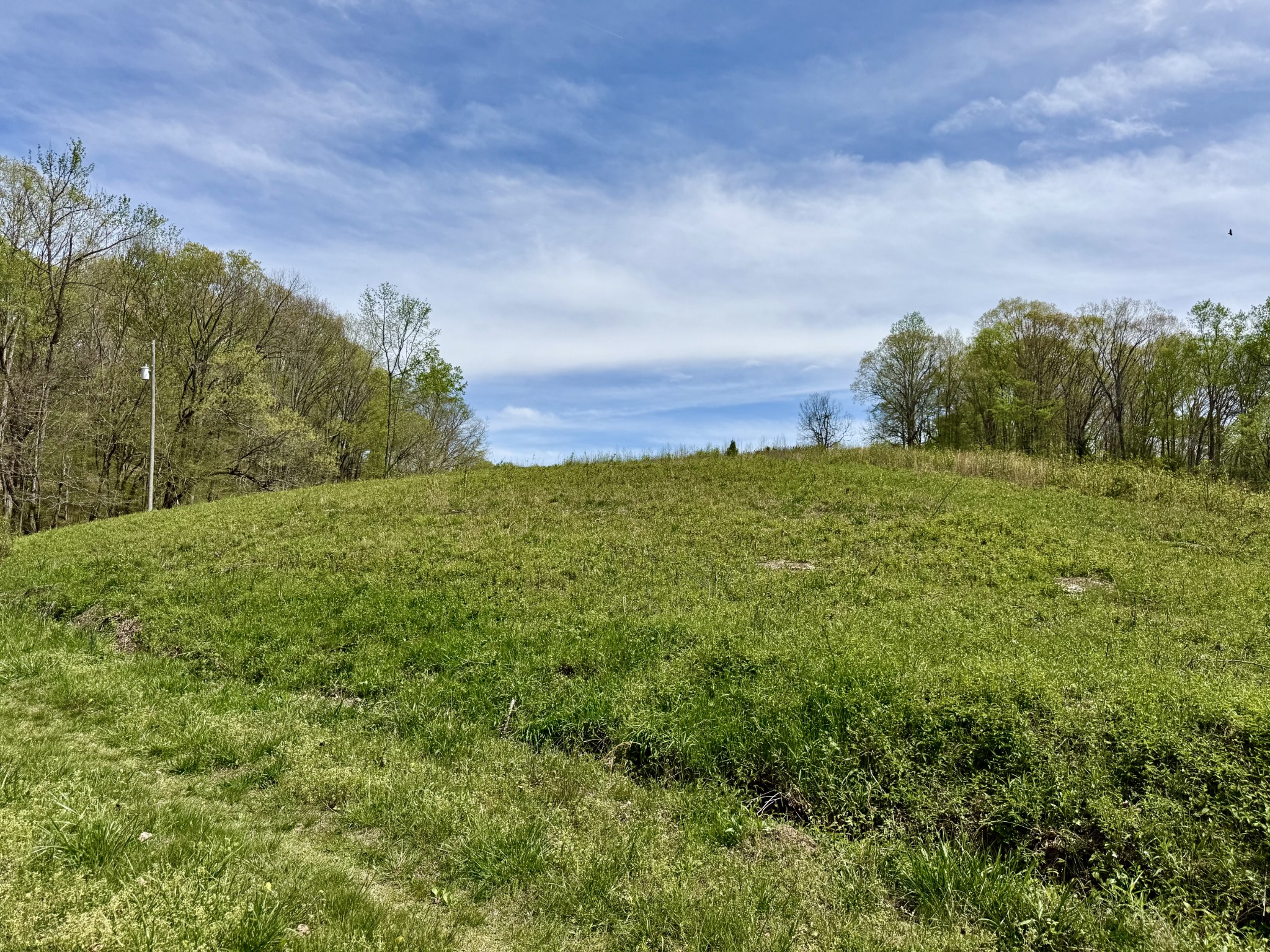 562 Junus Jackson Hollow Rd Property Photo 46