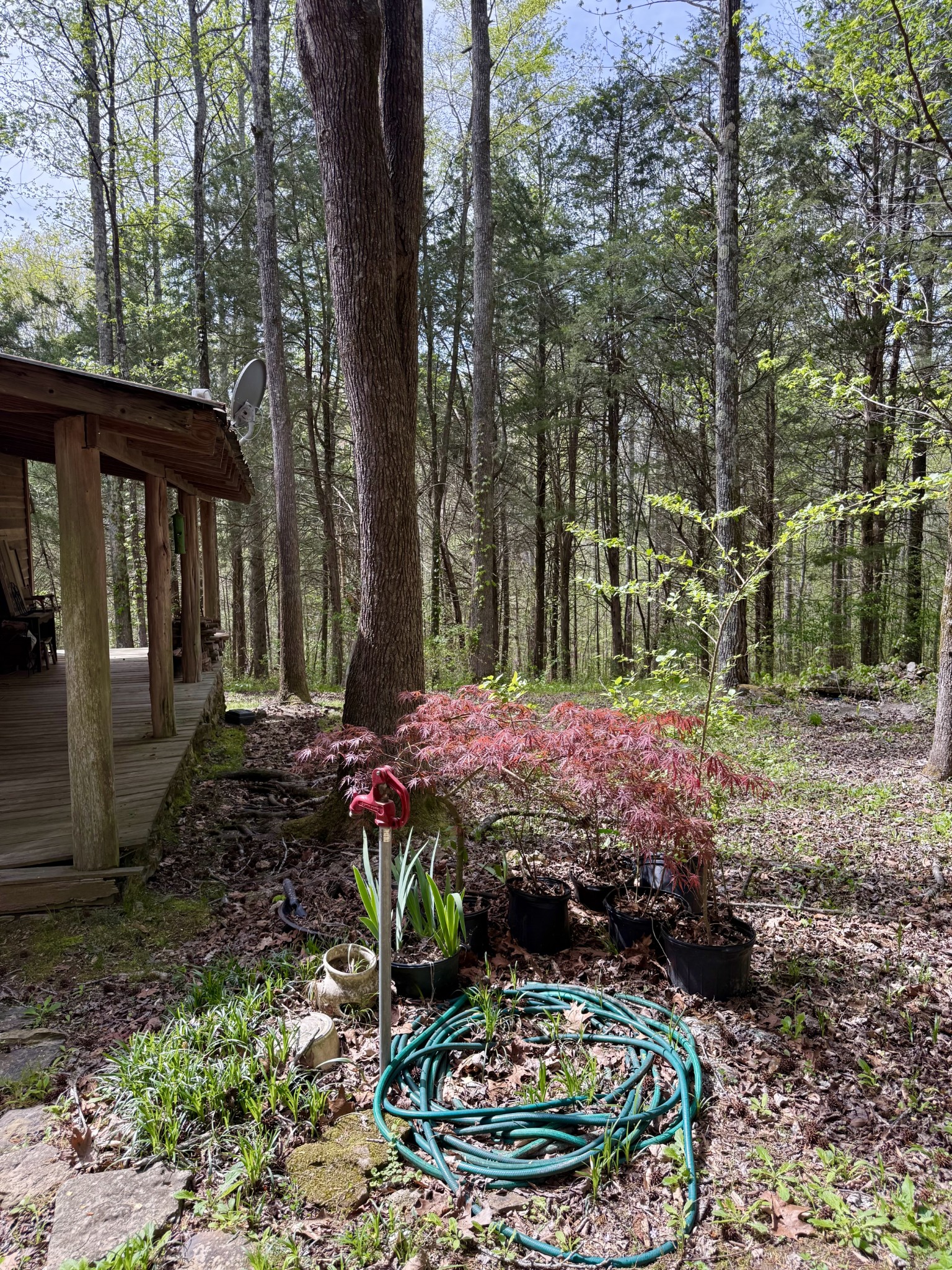 562 Junus Jackson Hollow Rd Property Photo 54
