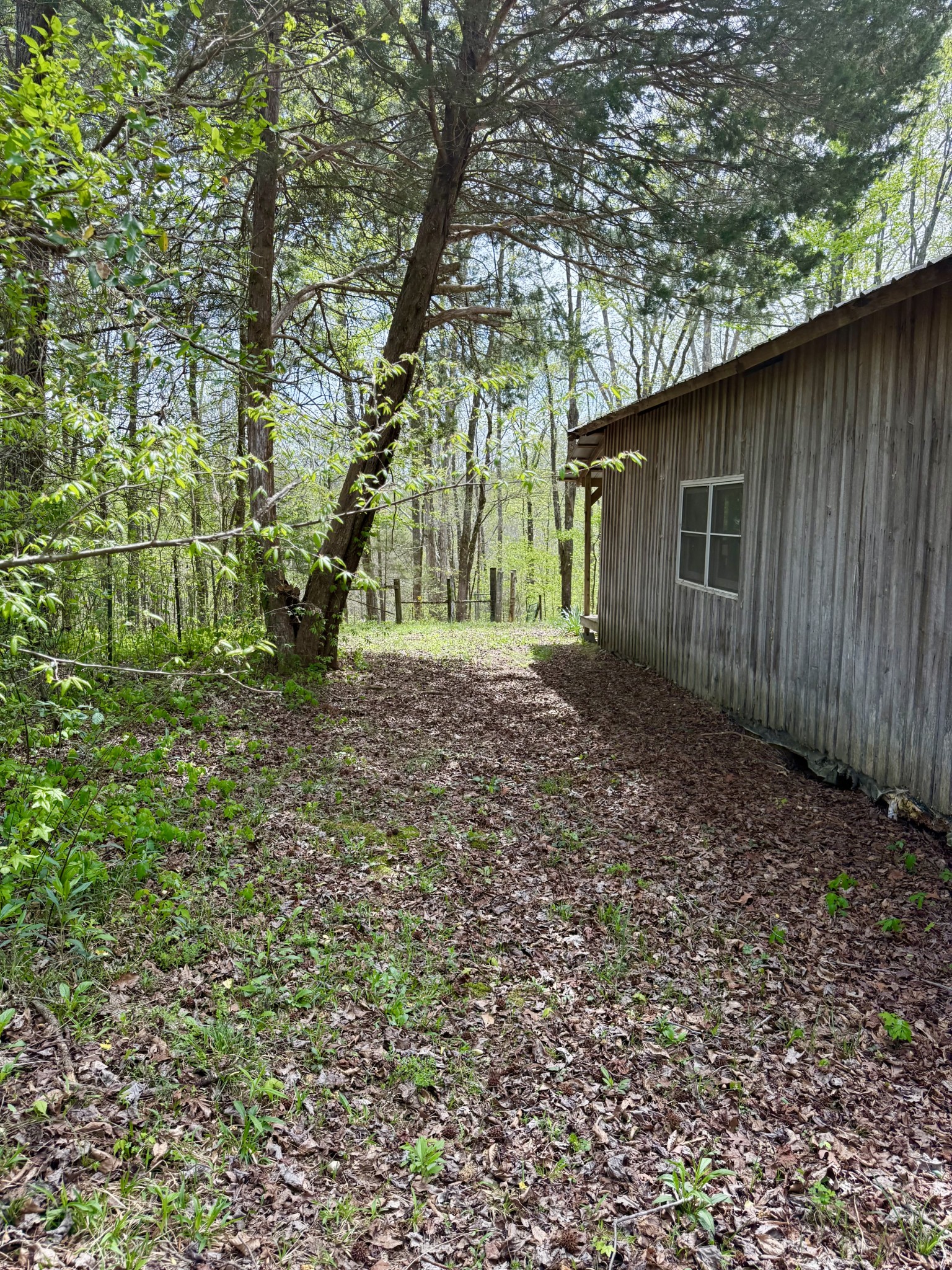 562 Junus Jackson Hollow Rd Property Photo 67