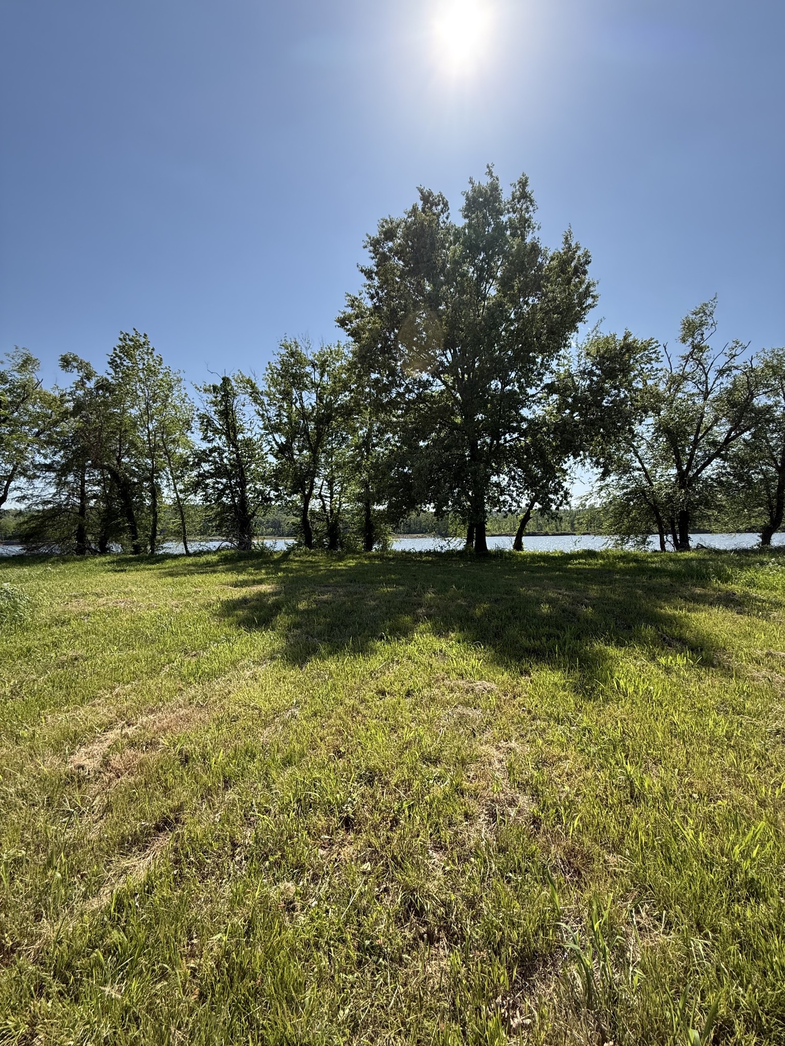 461 Hardin Bottom Rd Property Photo 15