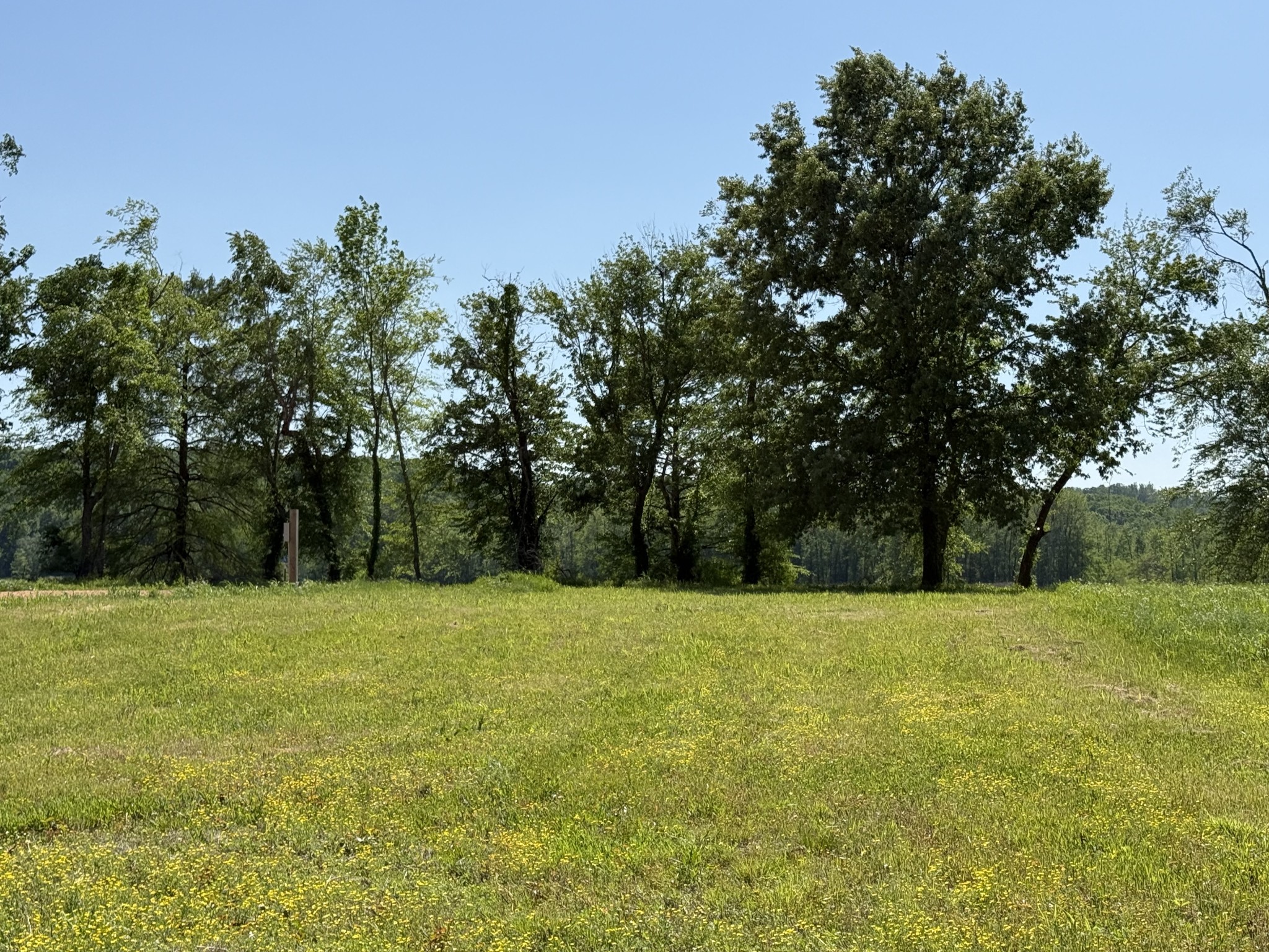 461 Hardin Bottom Rd Property Photo 19