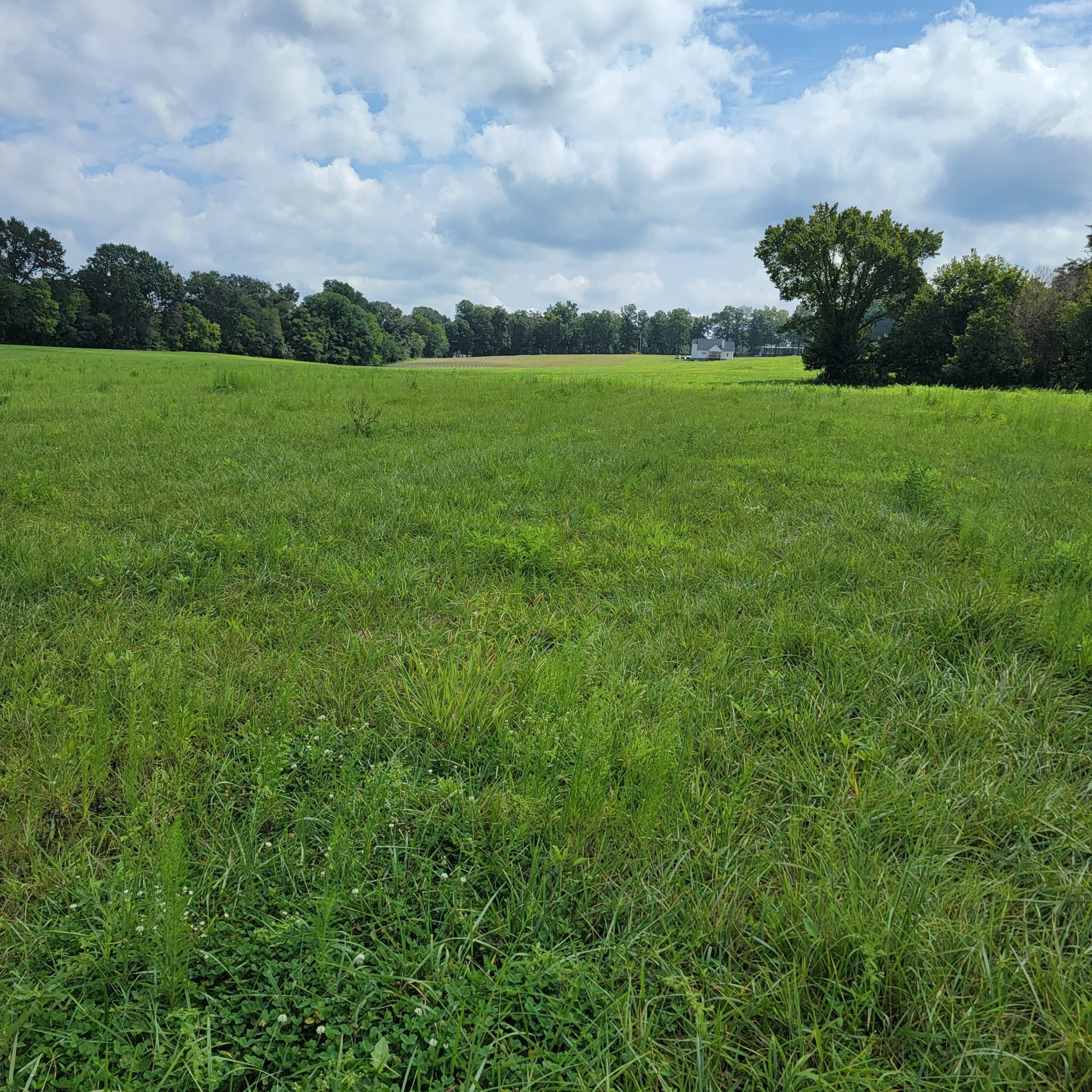 0 Red River School Rd Property Photo 1