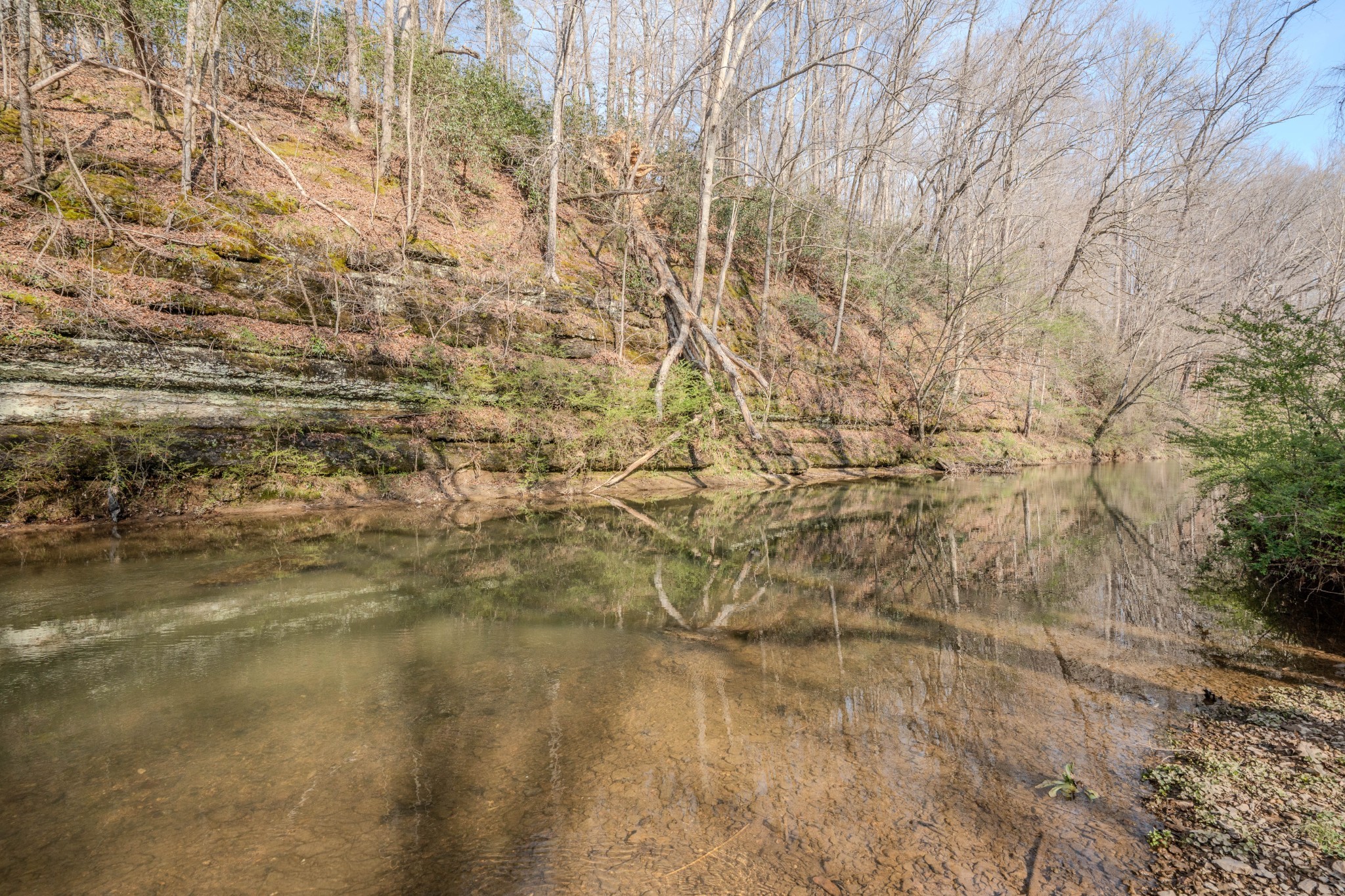 109 Rascaltown Rd Property Photo 35