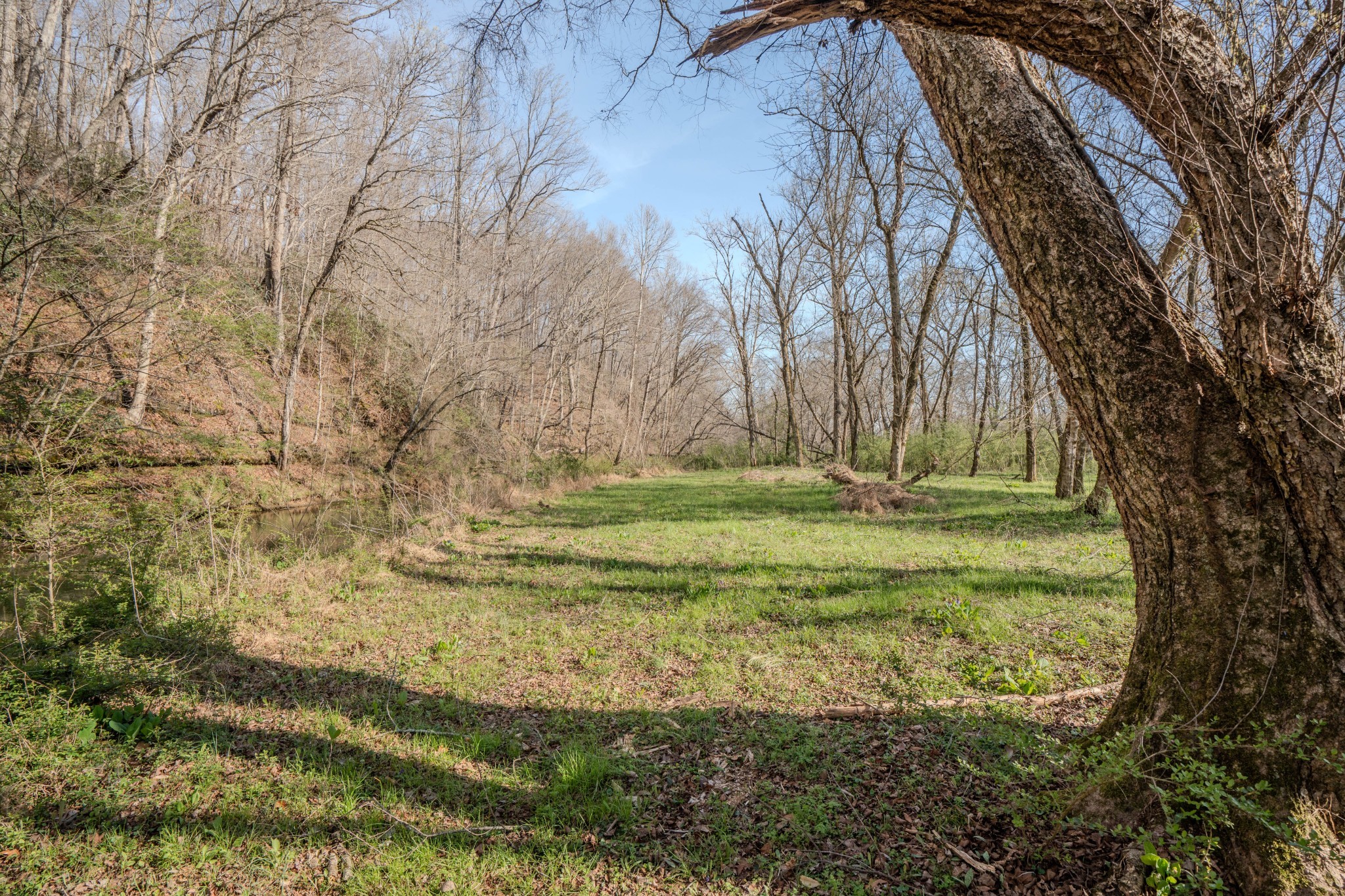 109 Rascaltown Rd Property Photo 39