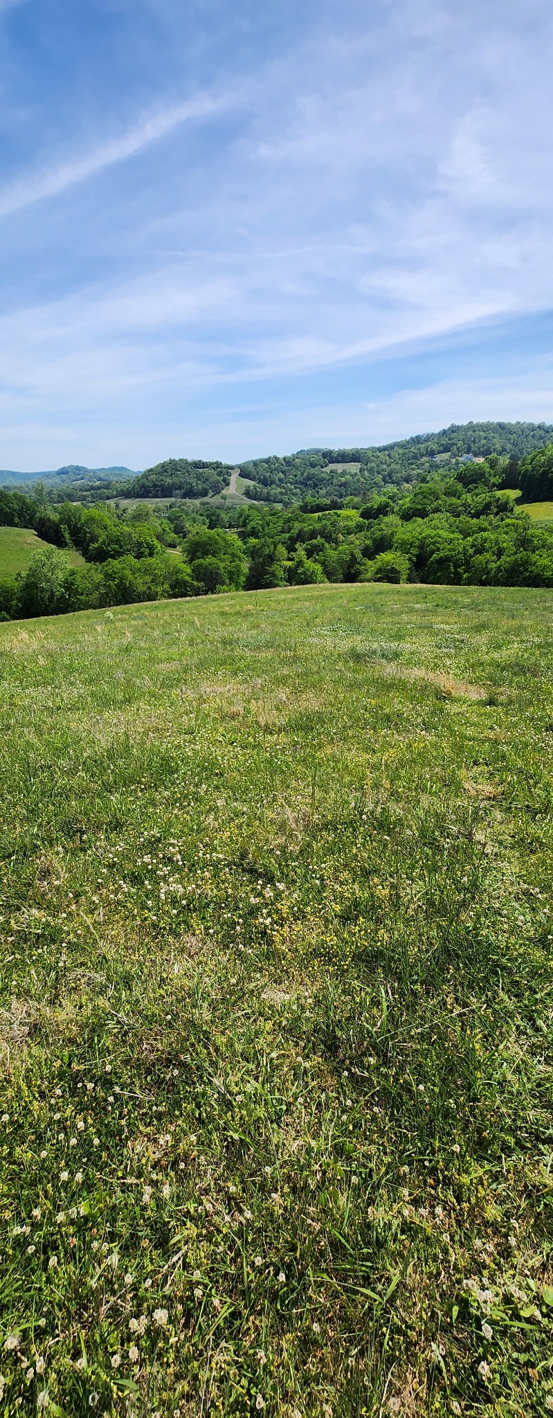 0 Lower Helton Rd Property Photo 4