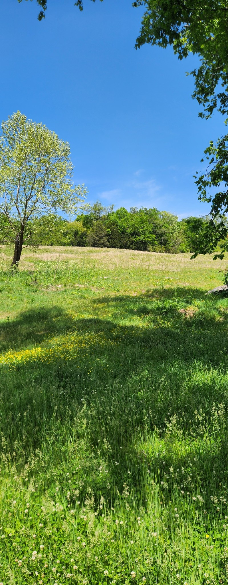 0 Lower Helton Rd Property Photo 6