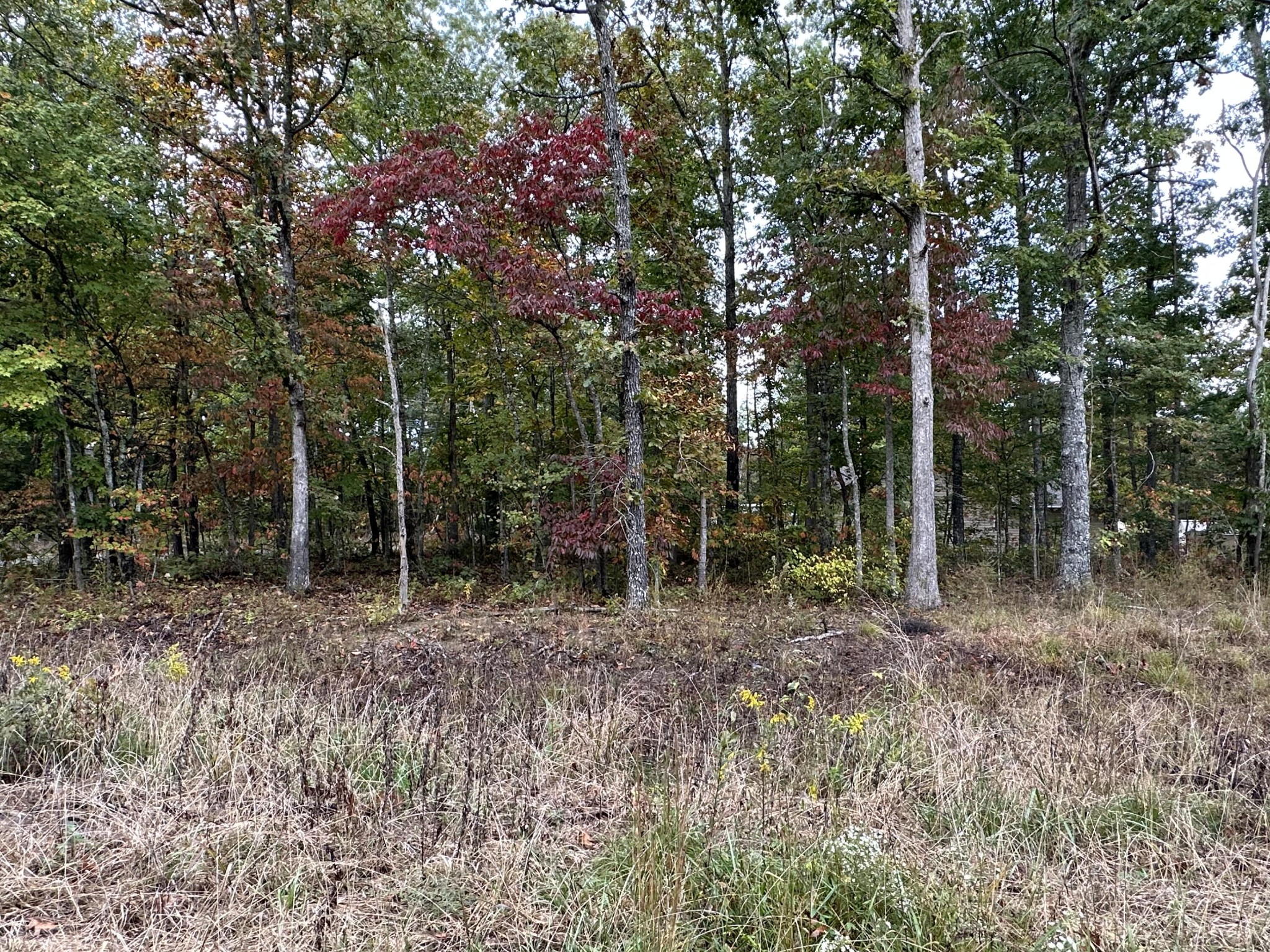 7000 Topez Drive Property Photo 1