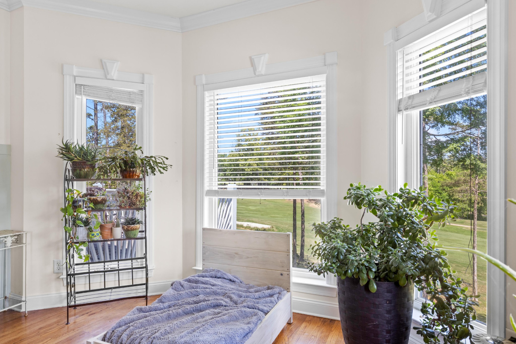 649 Wisley Way Property Photo 22