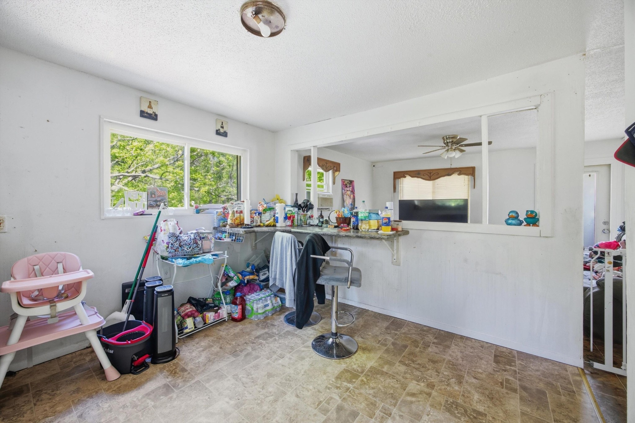 229 Rhine Road Property Photo 6