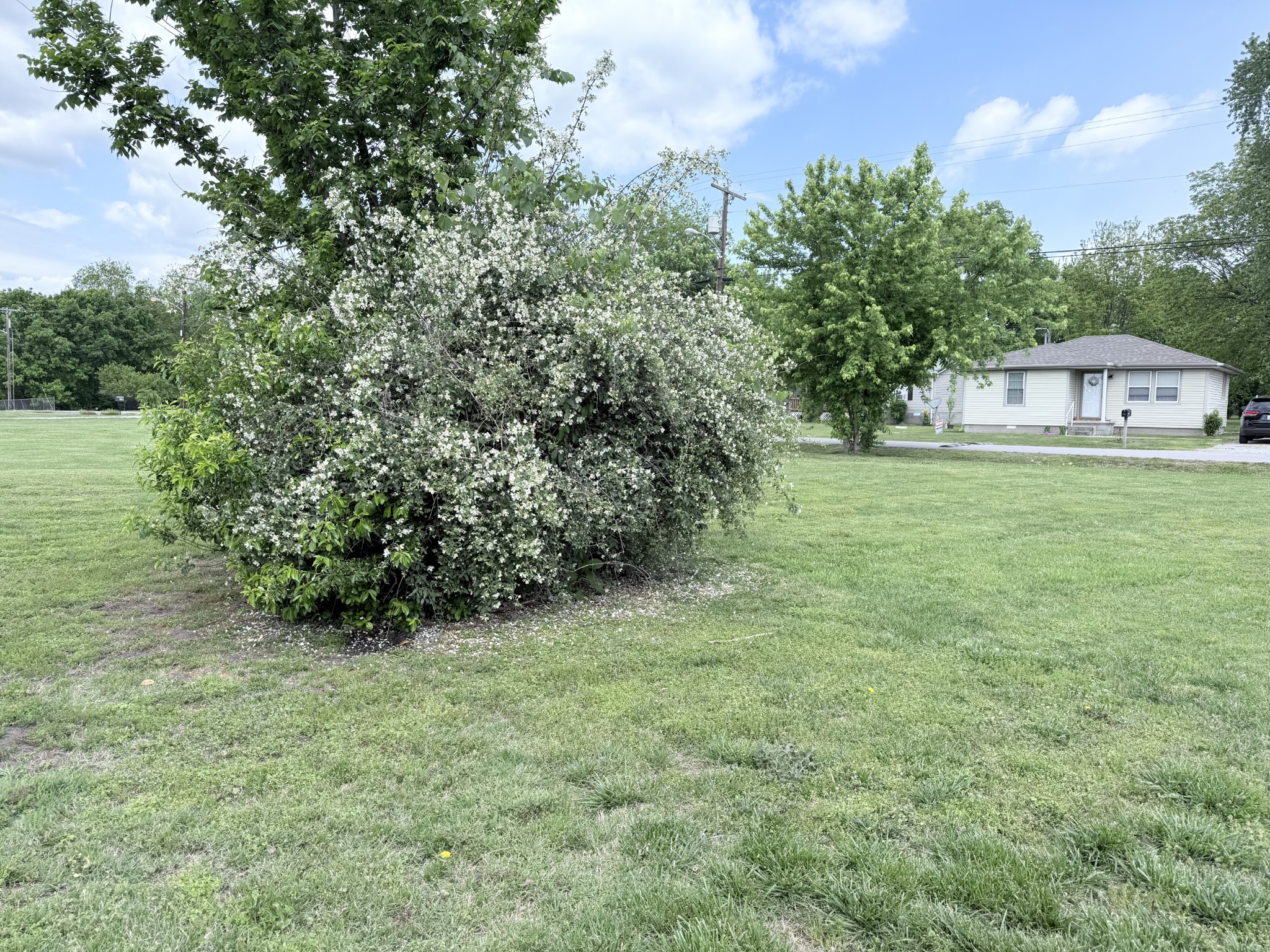 137 Dripping Springs St Property Photo 6