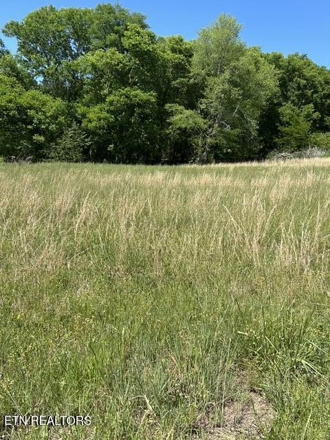 789 Smith Bend Lane Property Photo 1