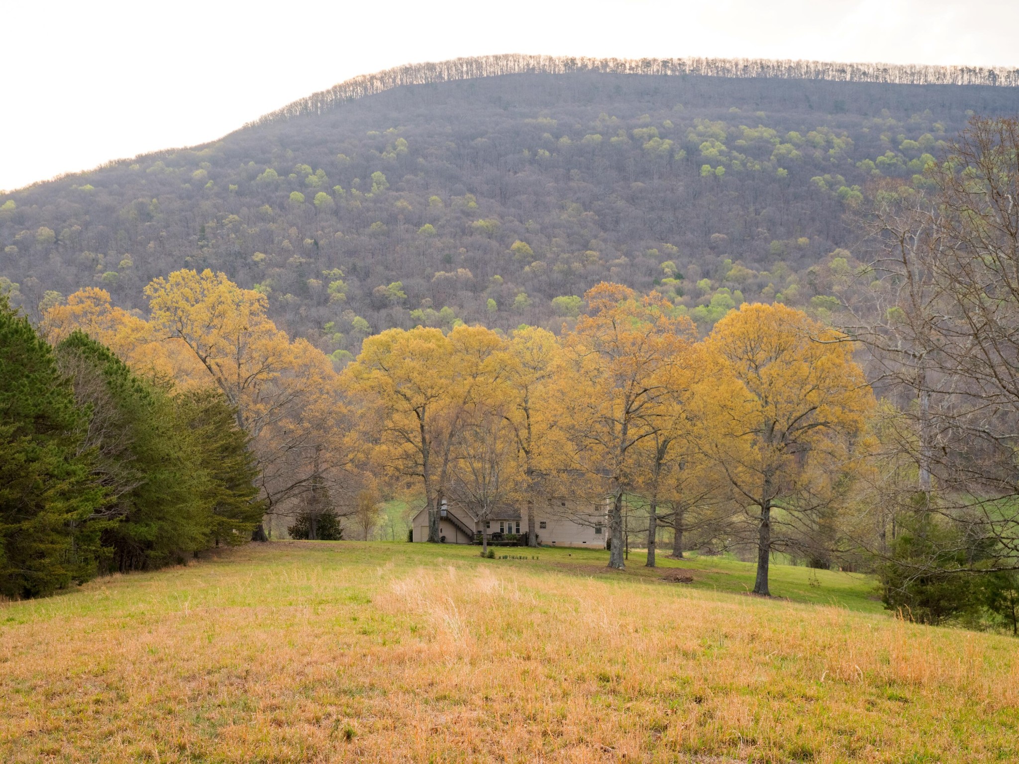 8040 Hog Jowl Road Property Photo 1