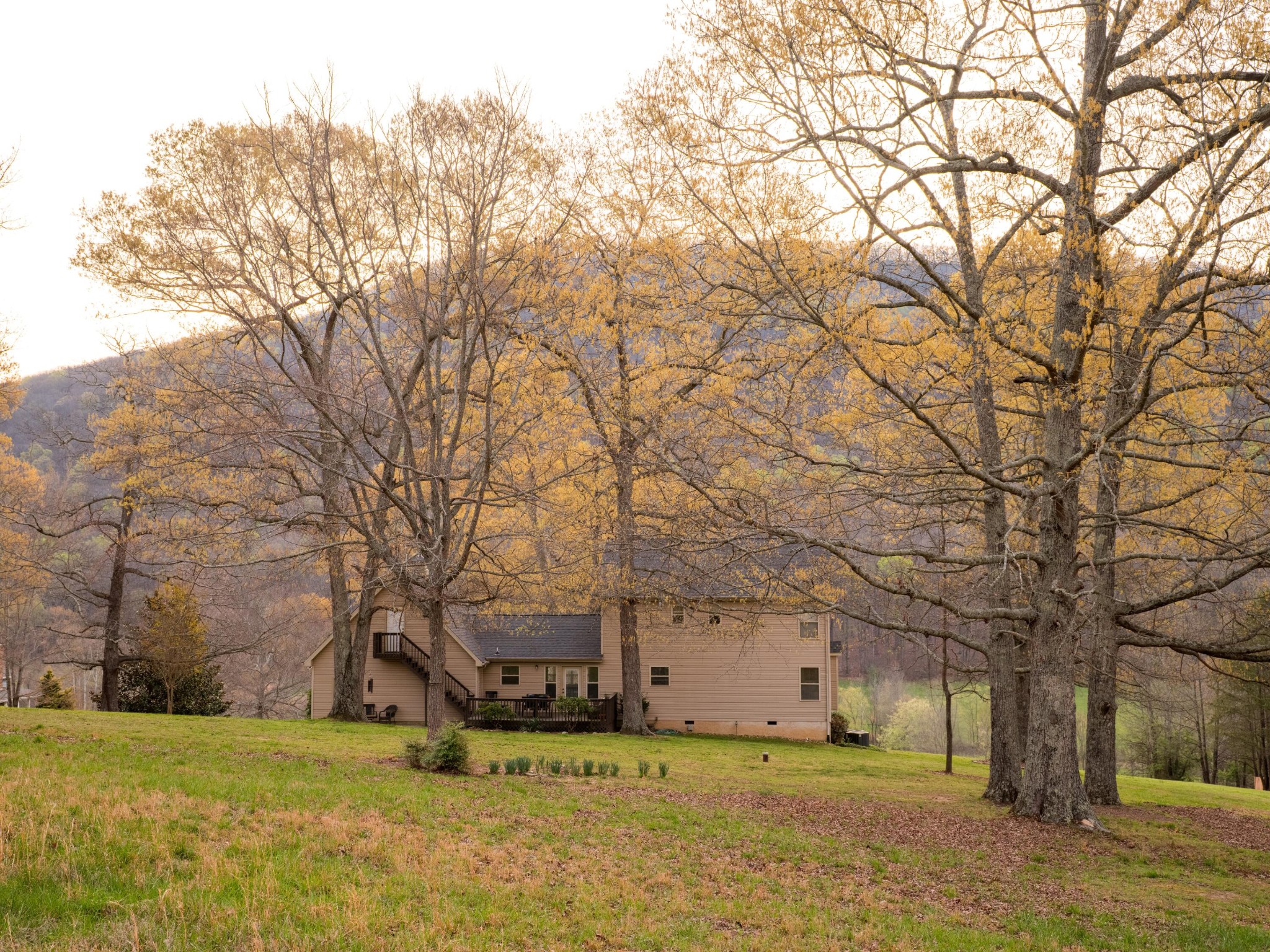 8040 Hog Jowl Road Property Photo 3