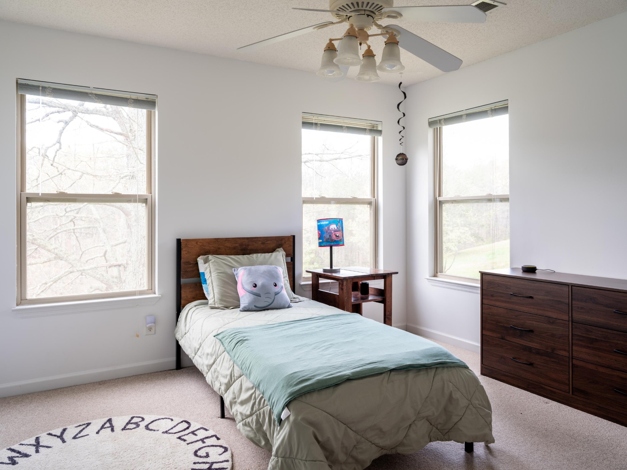 8040 Hog Jowl Road Property Photo 17