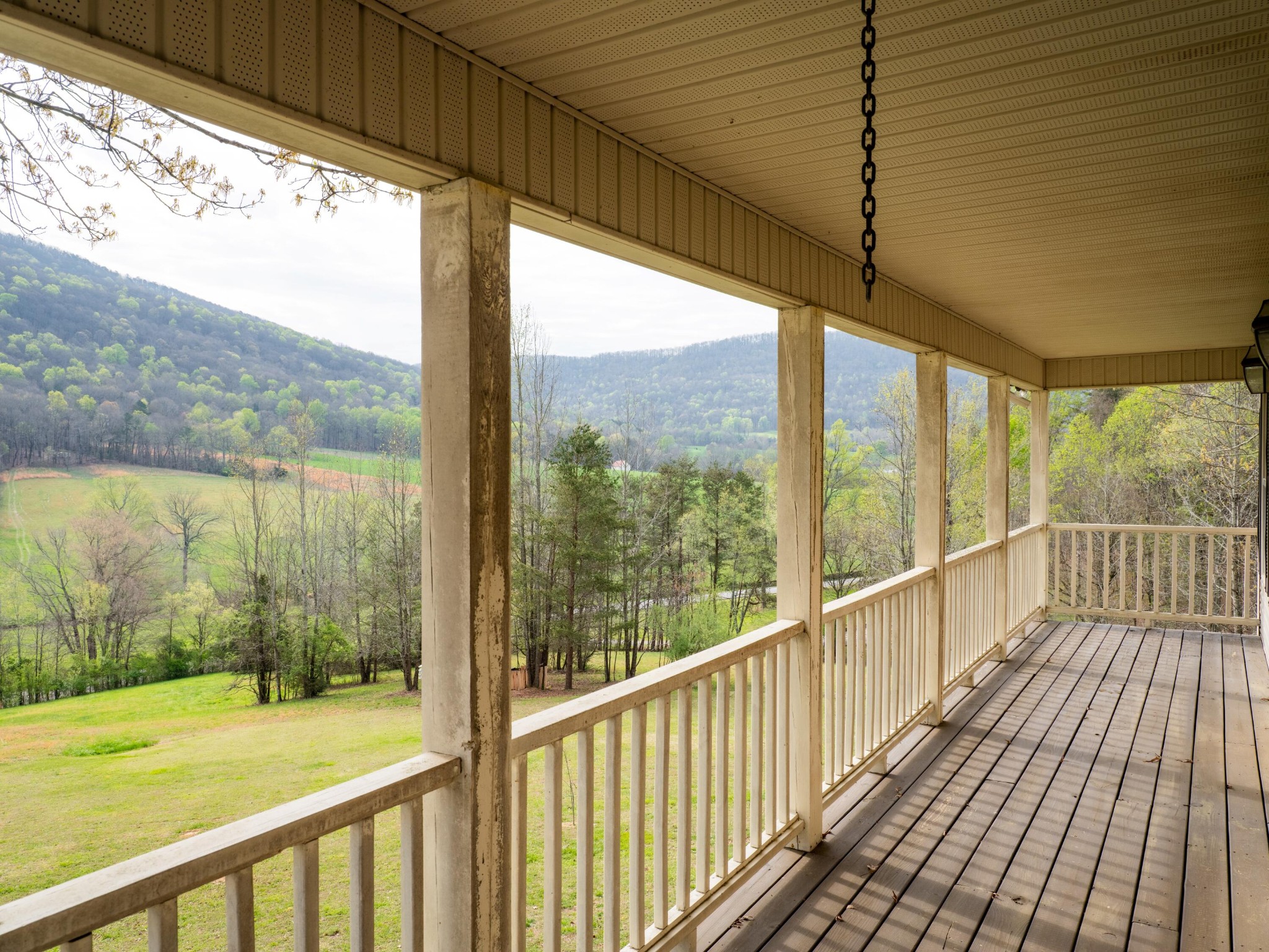 8040 Hog Jowl Road Property Photo 23