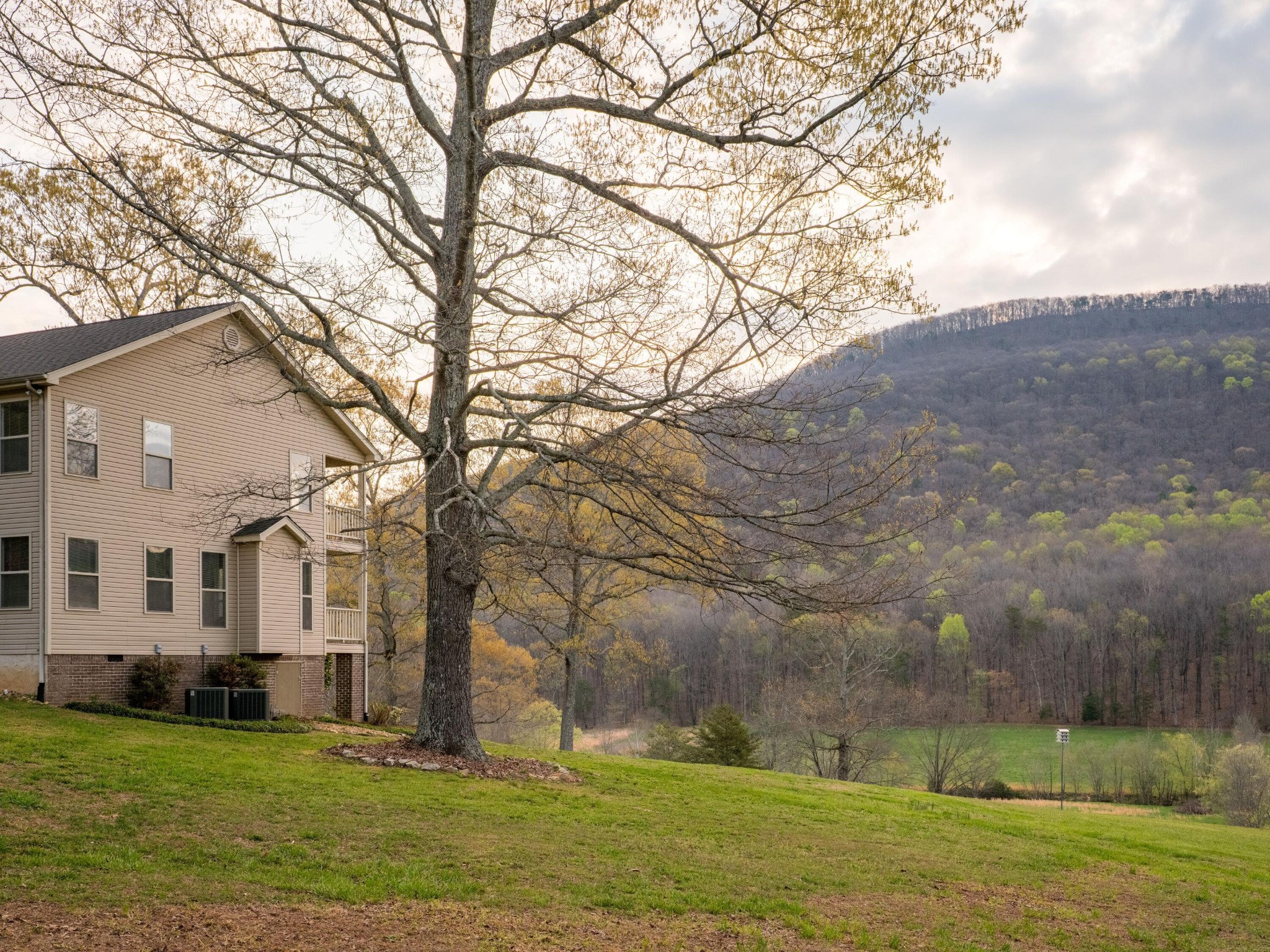 8040 Hog Jowl Road Property Photo 26