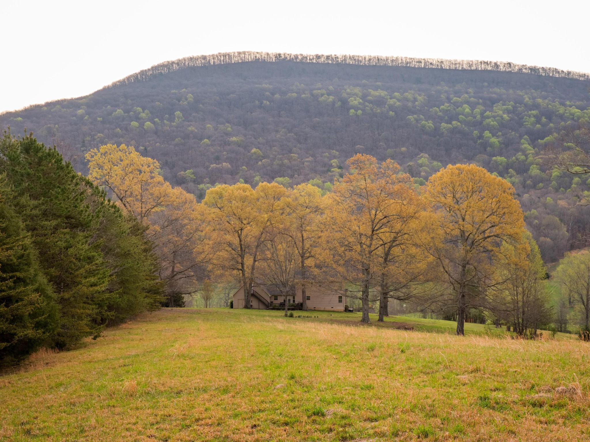 8040 Hog Jowl Road Property Photo 27