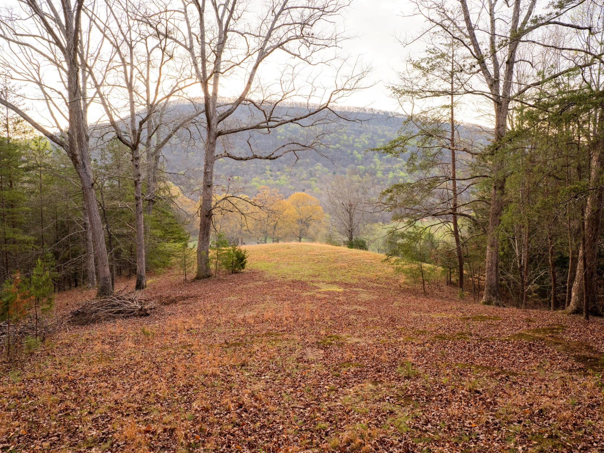 8040 Hog Jowl Road Property Photo 28