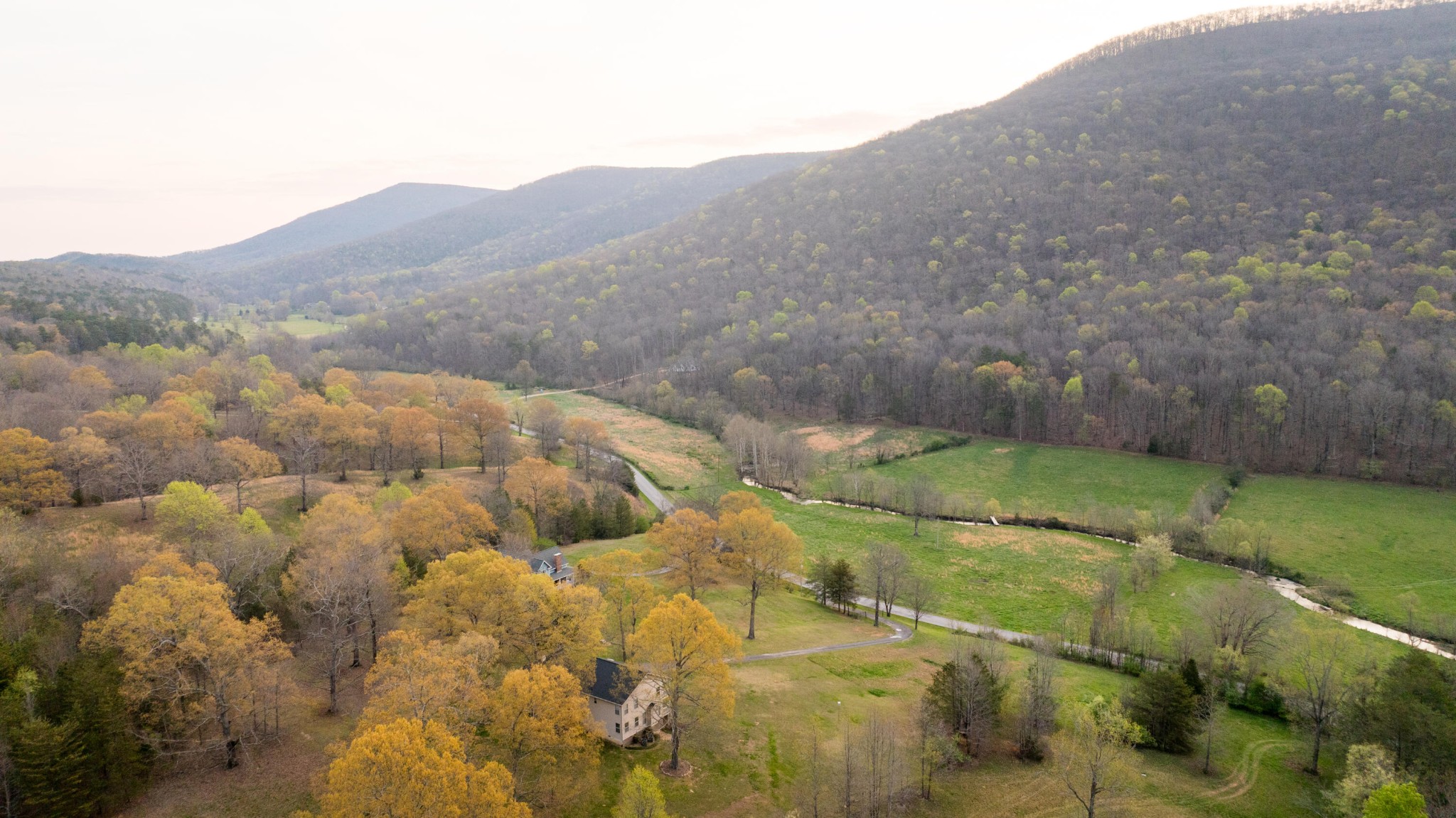 8040 Hog Jowl Road Property Photo 30