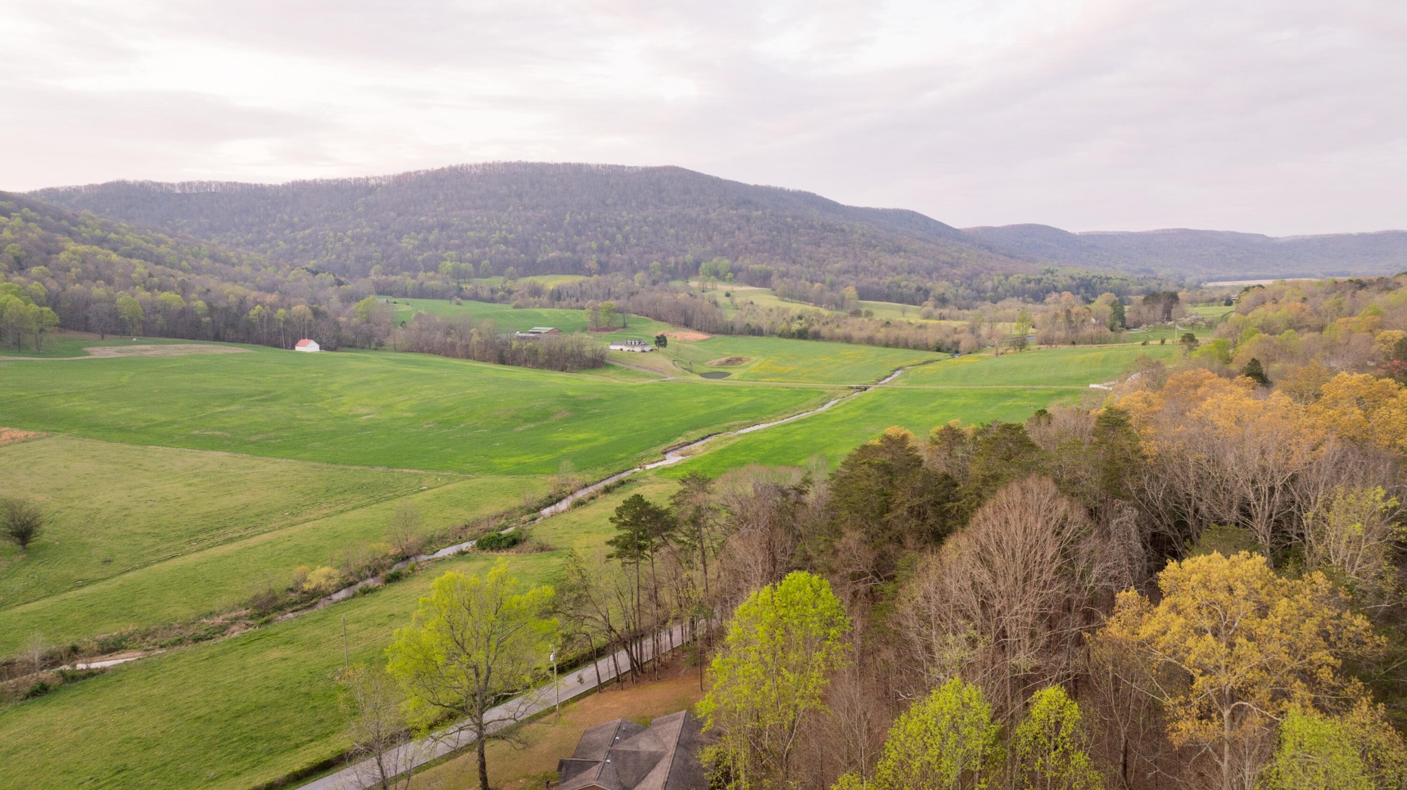 8040 Hog Jowl Road Property Photo 31