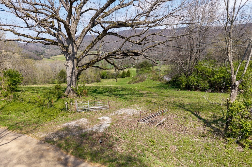 0 Lost Creek Road Property Photo 6