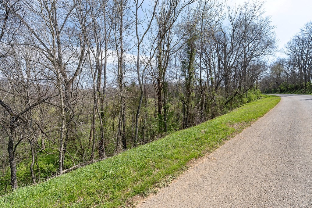 0 Lost Creek Road Property Photo 7