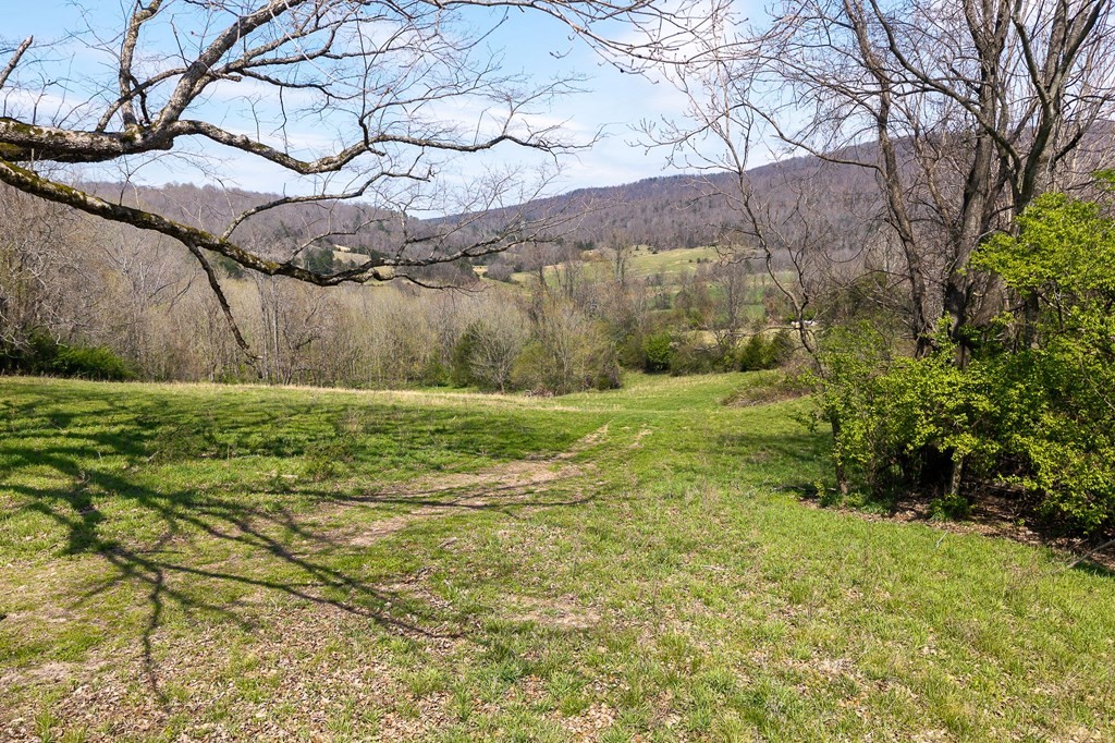 0 Lost Creek Road Property Photo 9
