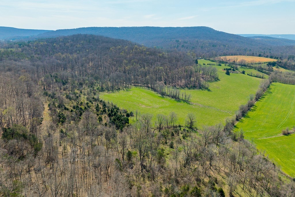 0 Lost Creek Road Property Photo 10