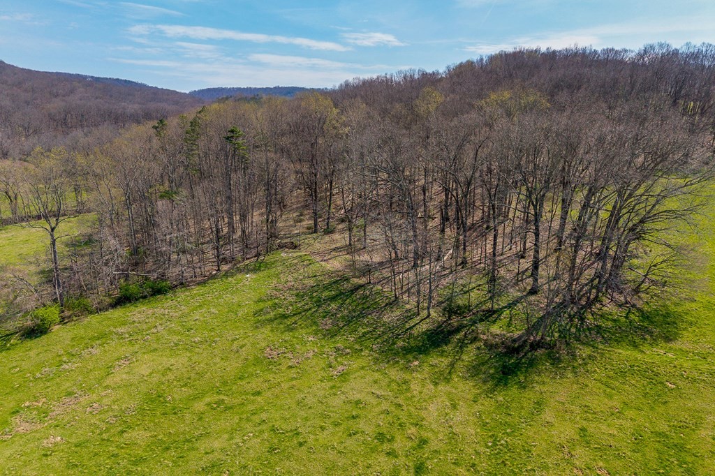 0 Lost Creek Road Property Photo 13
