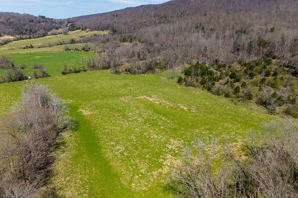 0 Lost Creek Road Property Photo 15