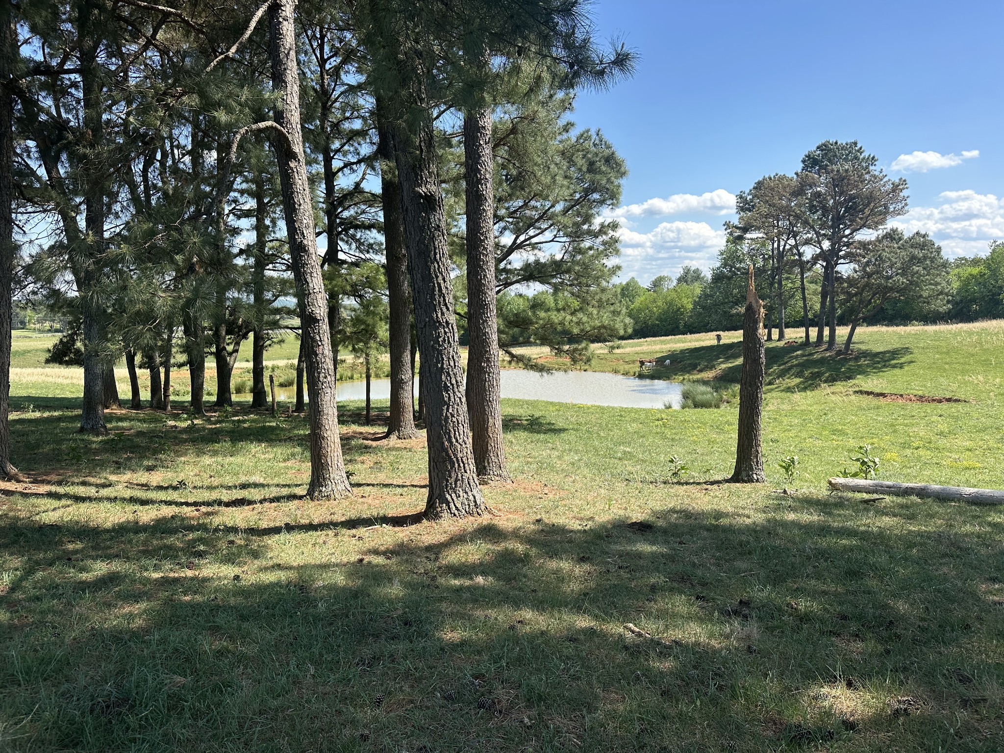 0 Charles Golden Rd Property Photo 1
