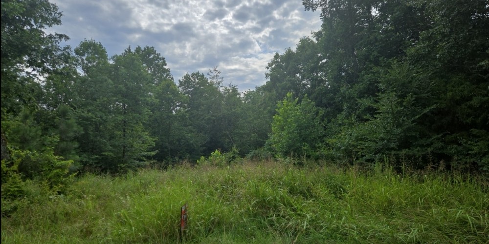 0 Barber Hwy Property Photo 1
