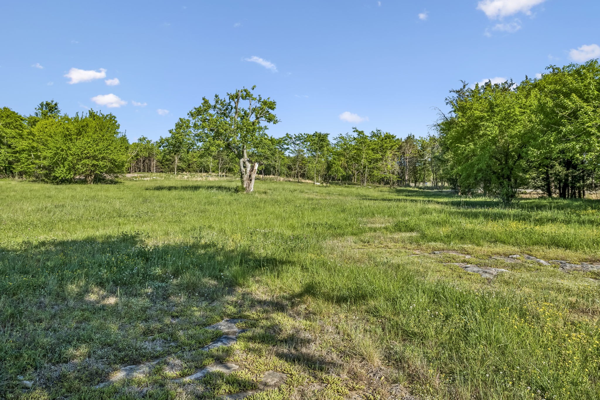 10567 Versailles Rd Property Photo 3