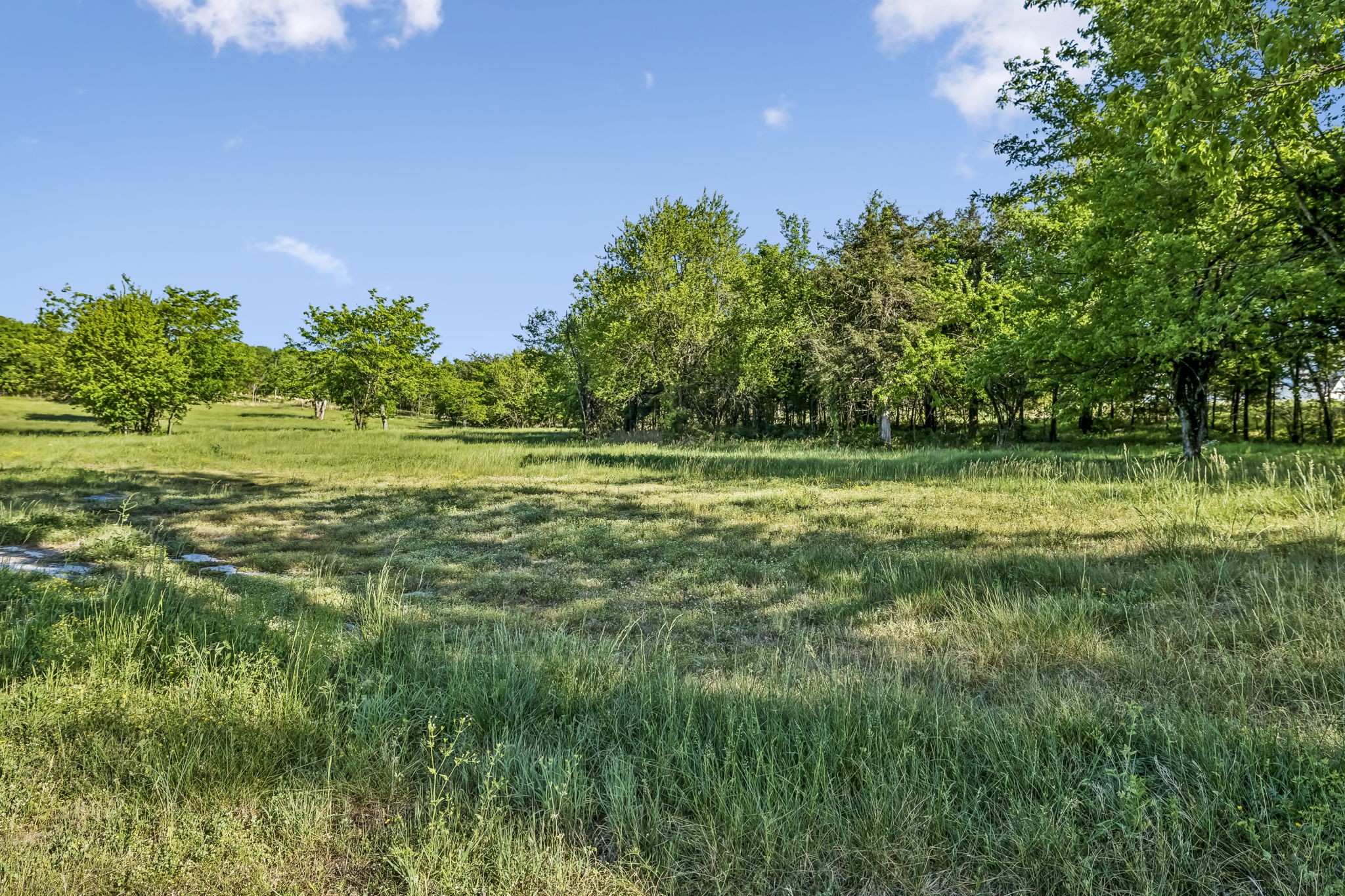 10567 Versailles Rd Property Photo 4