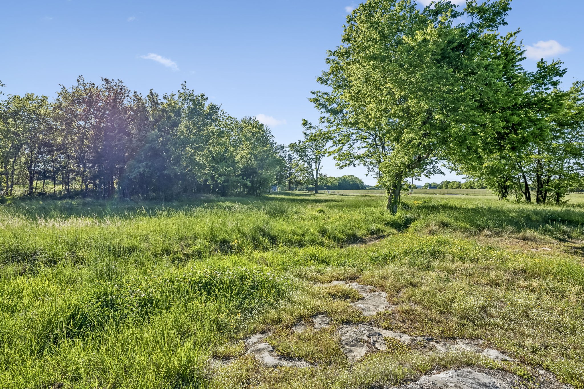 10567 Versailles Rd Property Photo 5