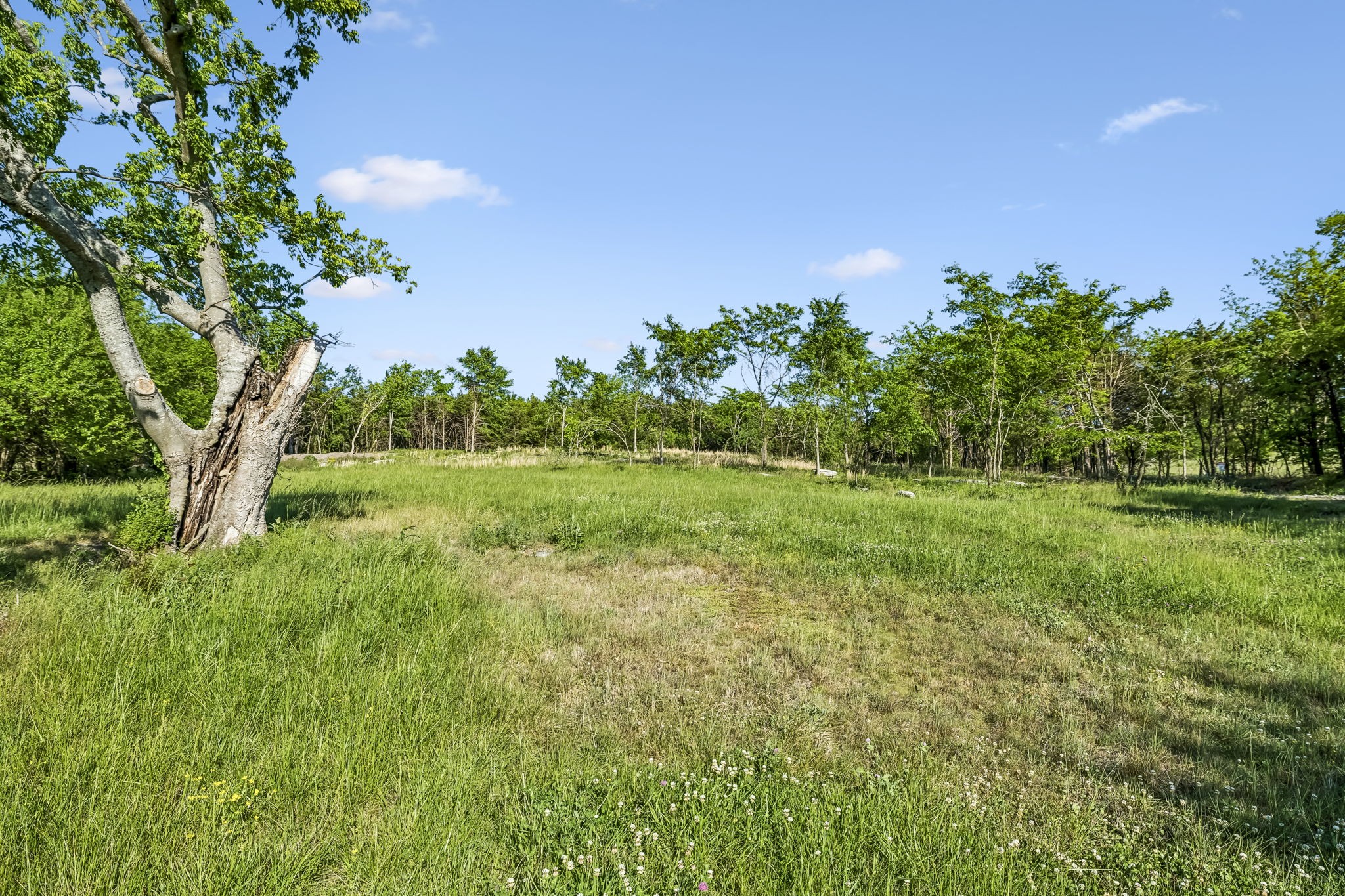 10567 Versailles Rd Property Photo 6