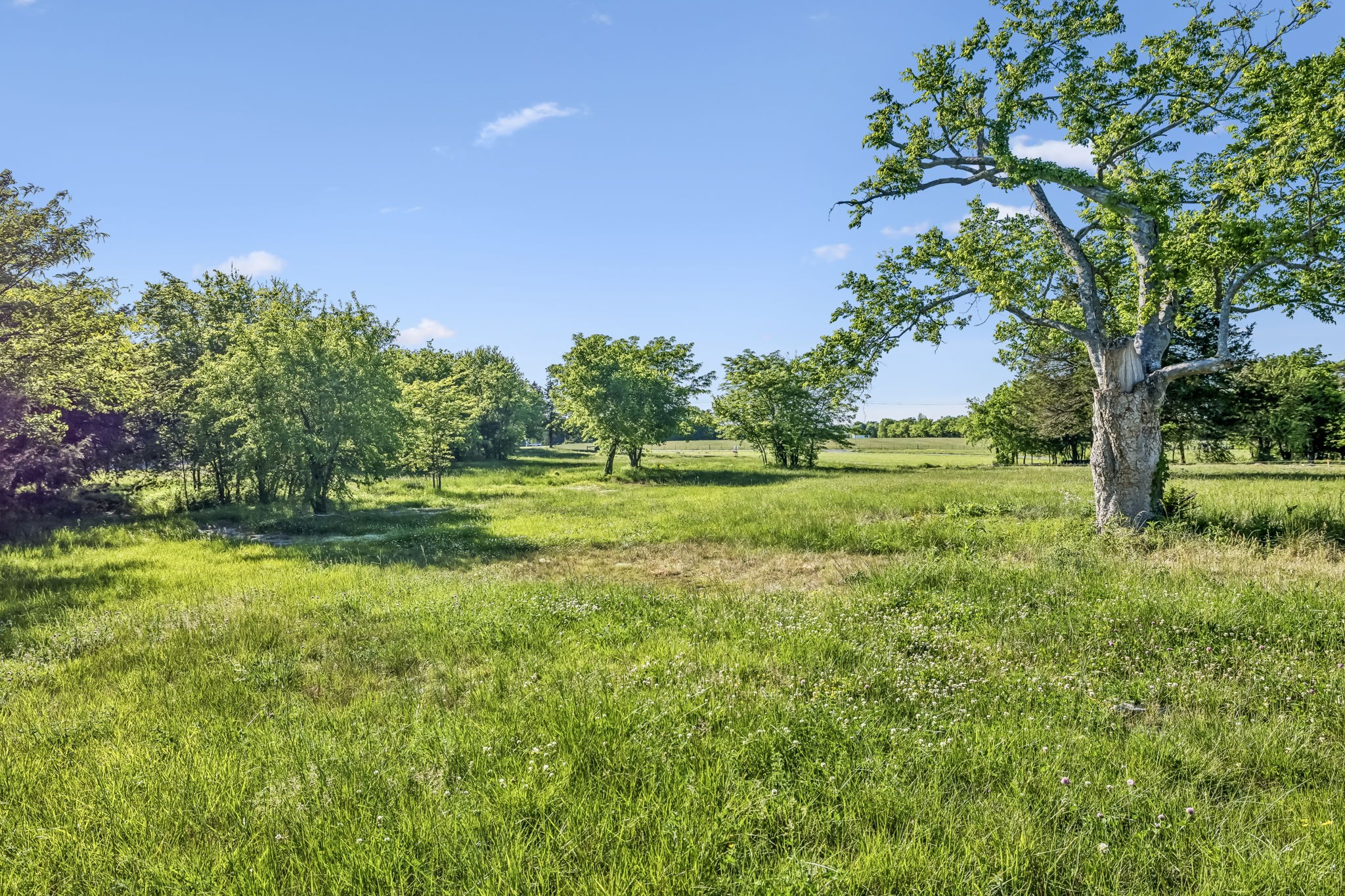 10567 Versailles Rd Property Photo 7