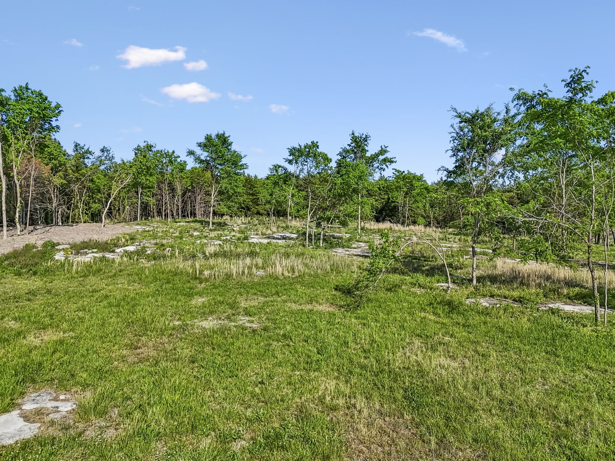 10567 Versailles Rd Property Photo 19