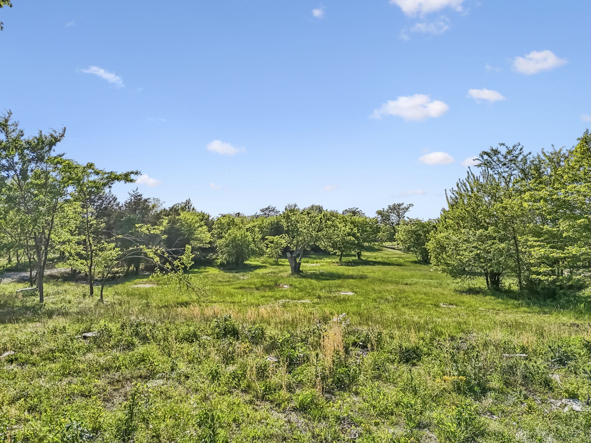 10567 Versailles Rd Property Photo 21