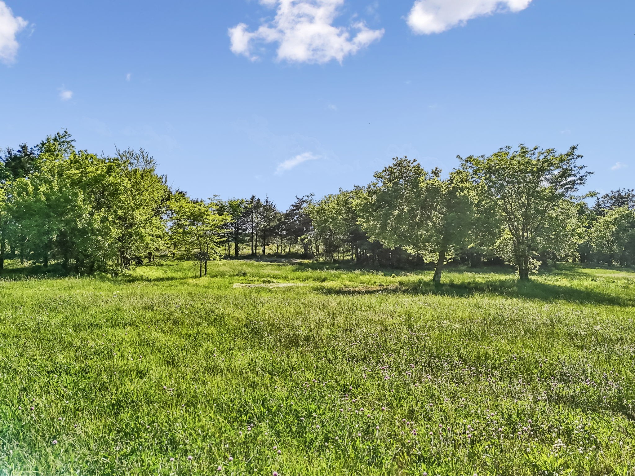 10567 Versailles Rd Property Photo 22