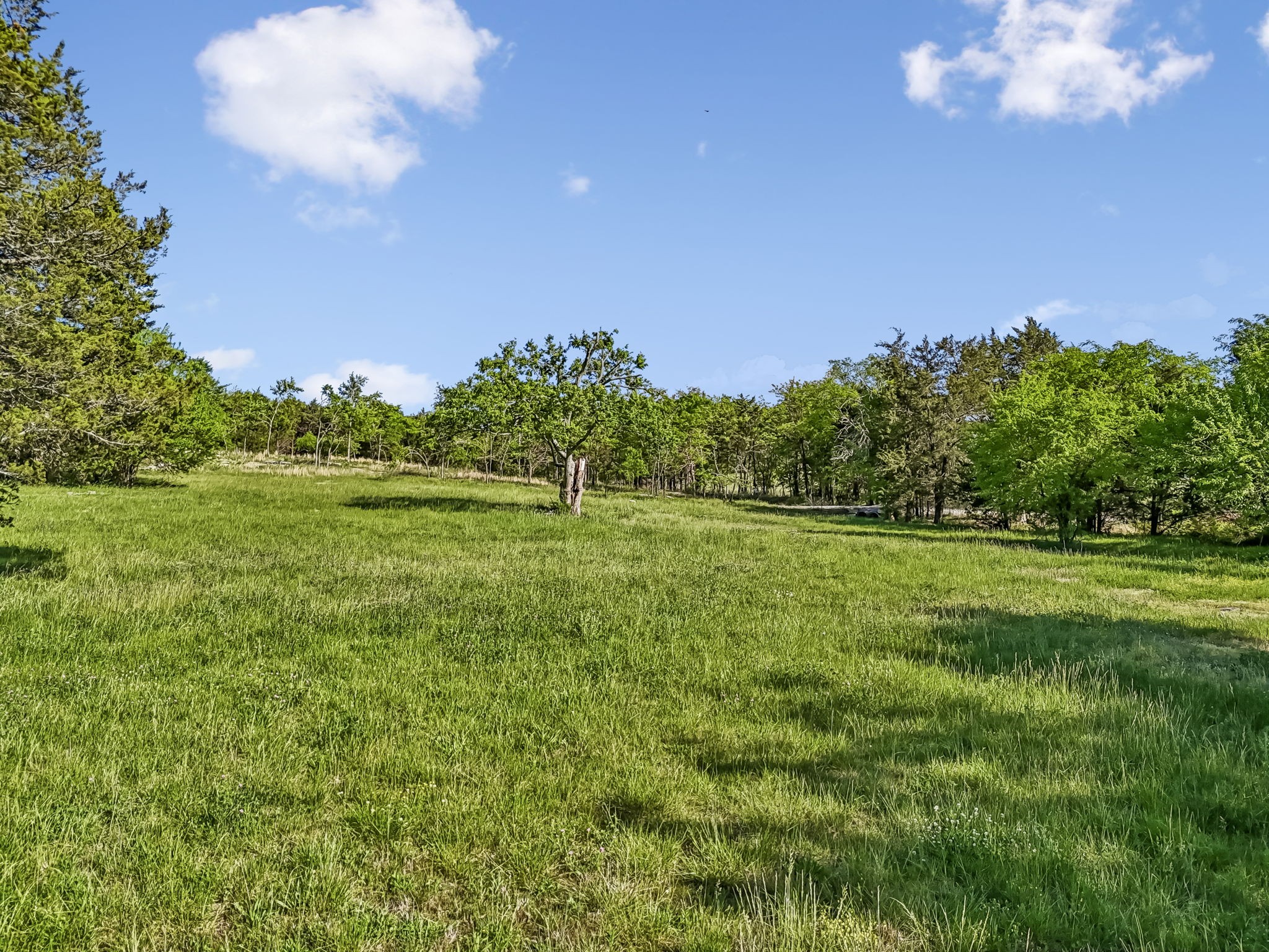 10567 Versailles Rd Property Photo 23